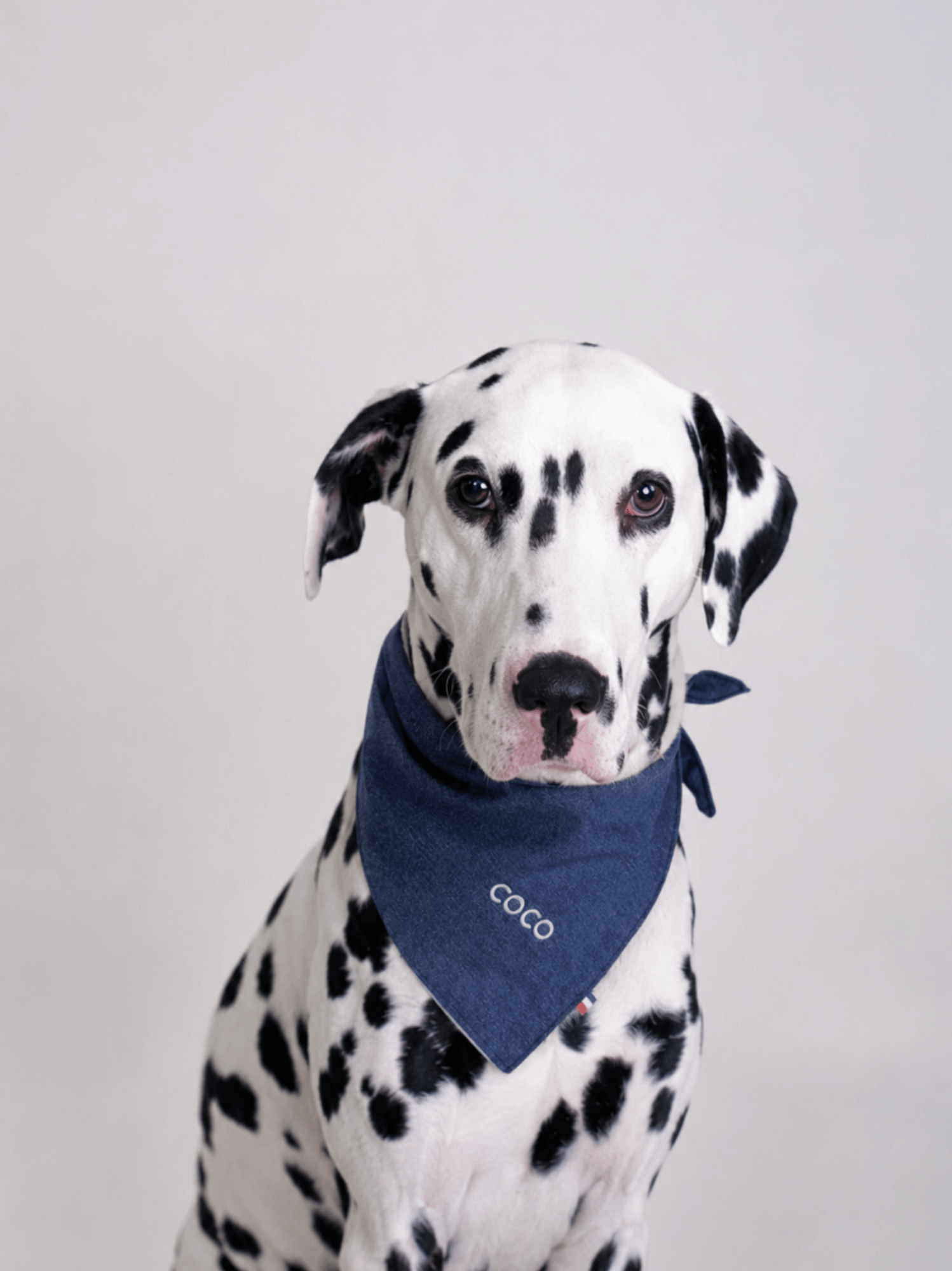 Bandana Denim