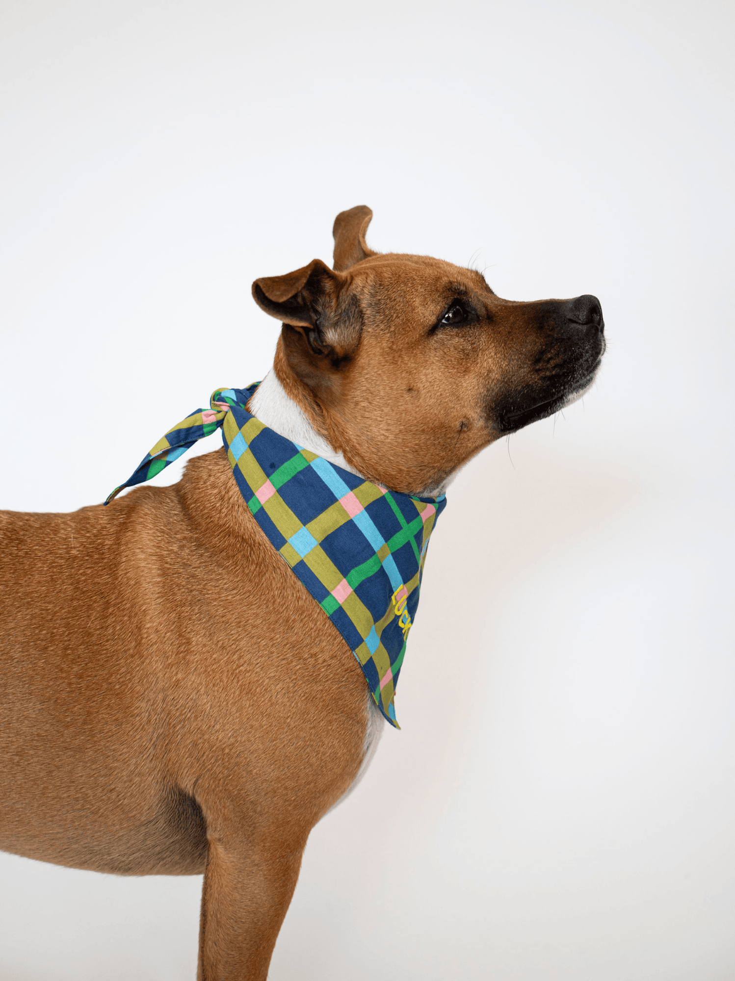 Bandana Jardin