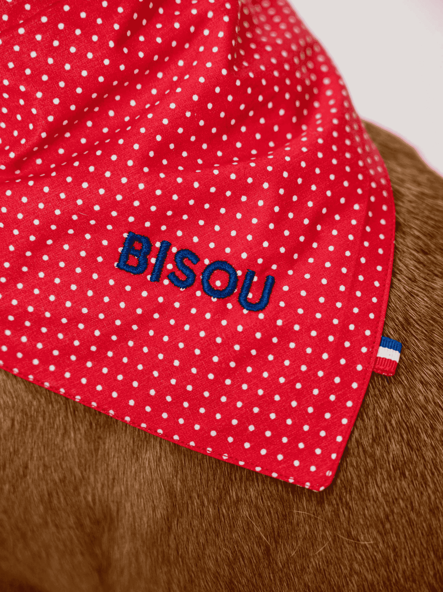 Bandana à Pois rouge