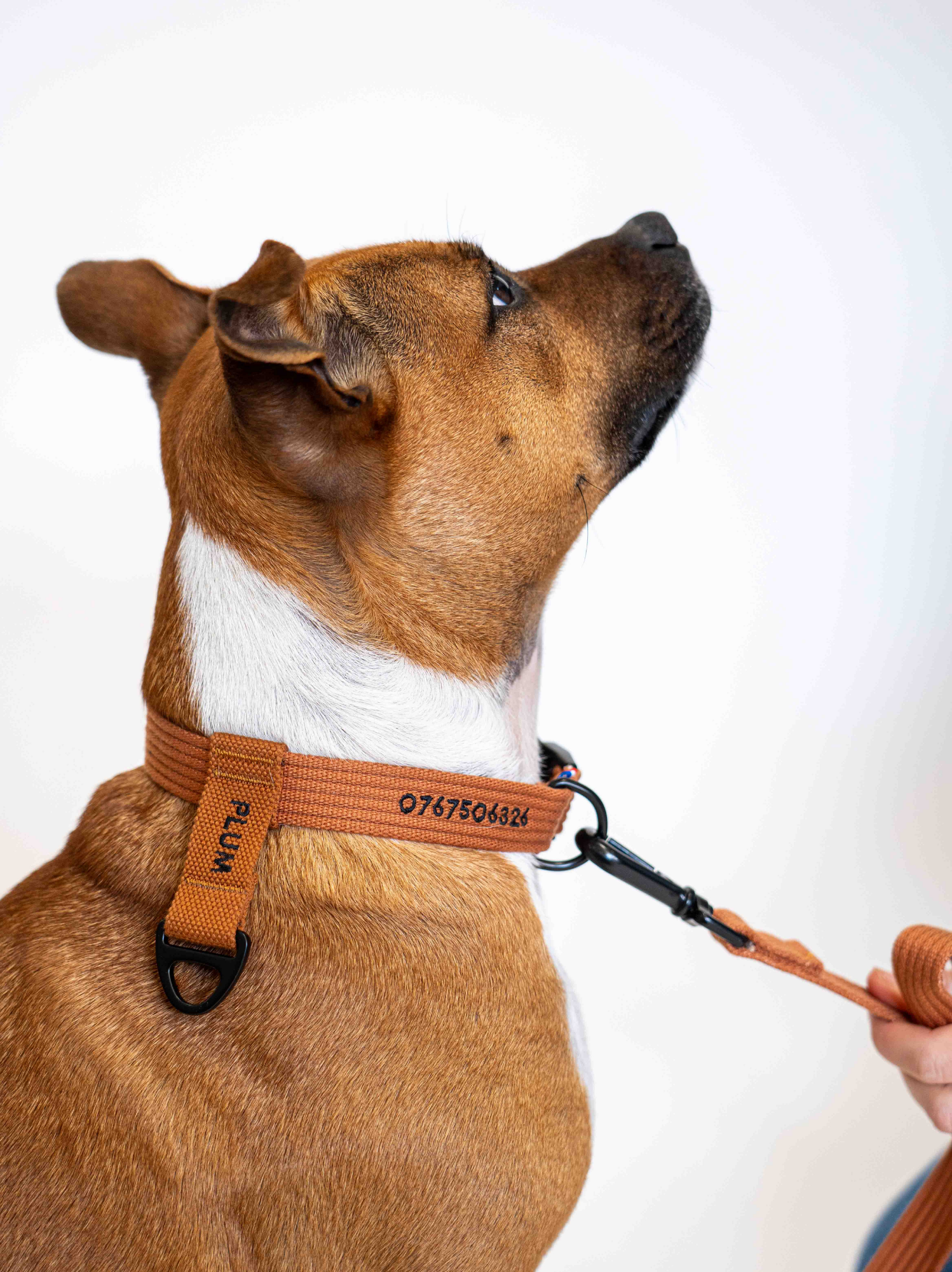 Collier signature Caramel noir