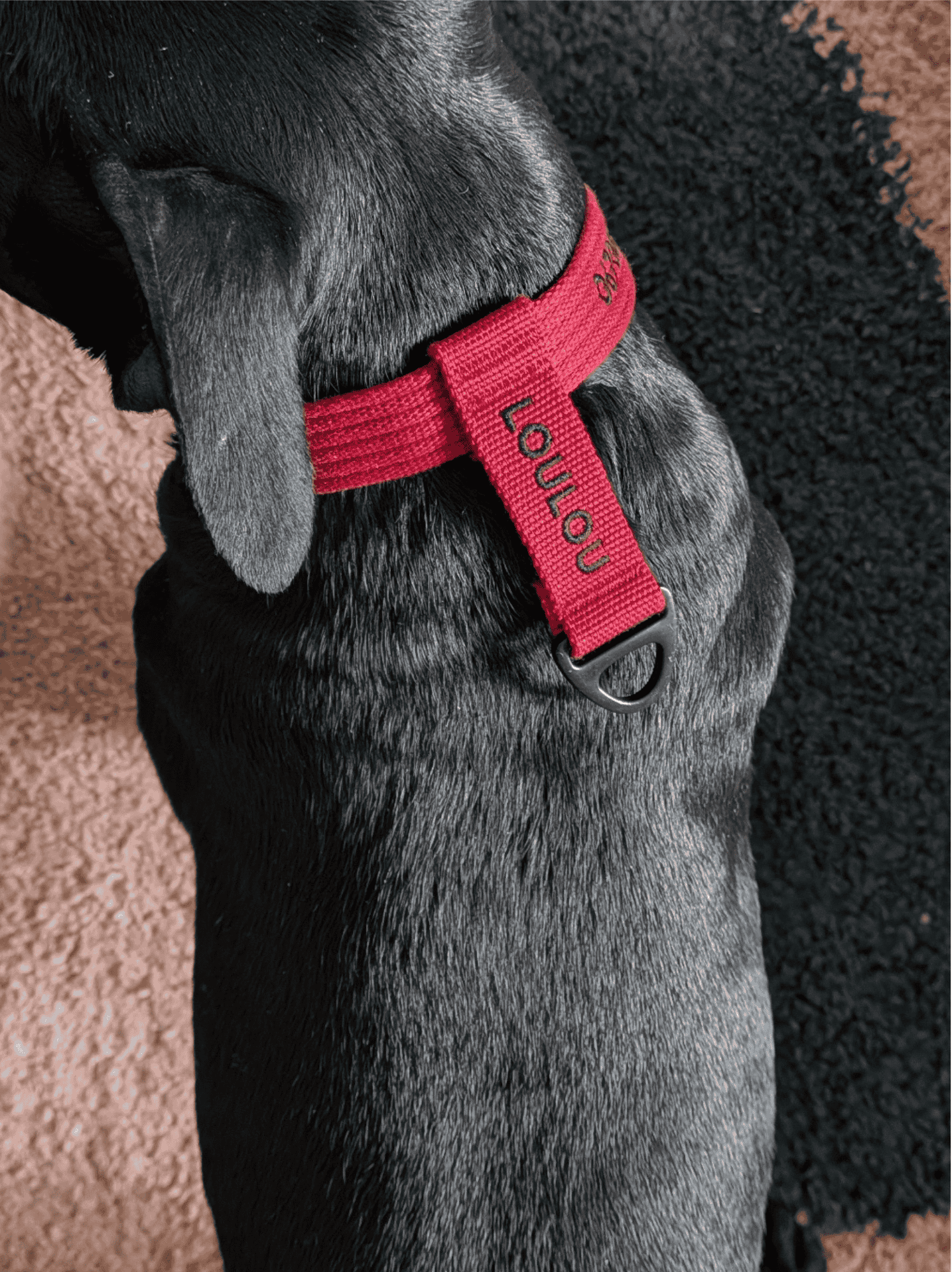 Collier signature Cerise noir