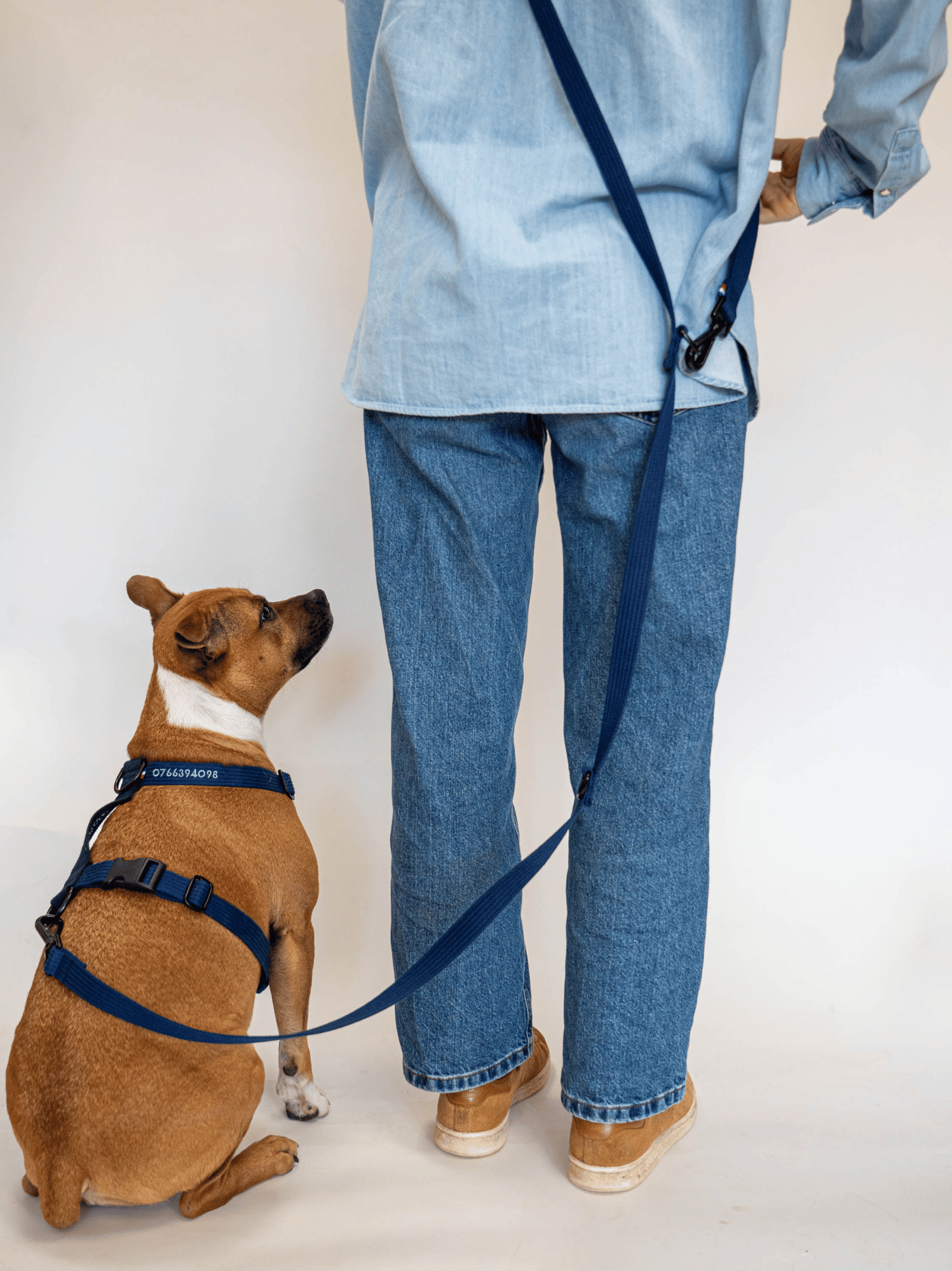 Laisse modulable Bleue