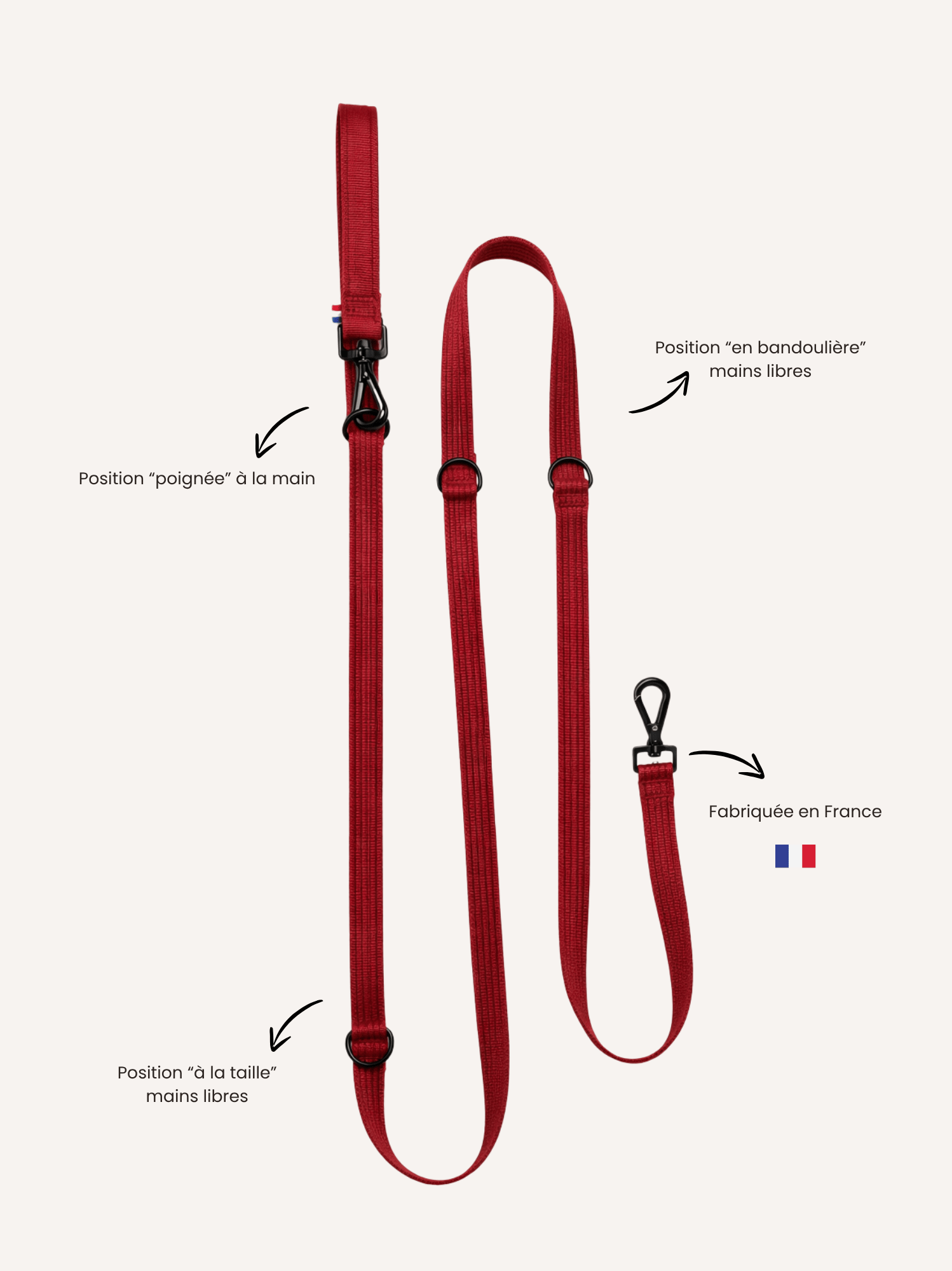Laisse modulable Cerise