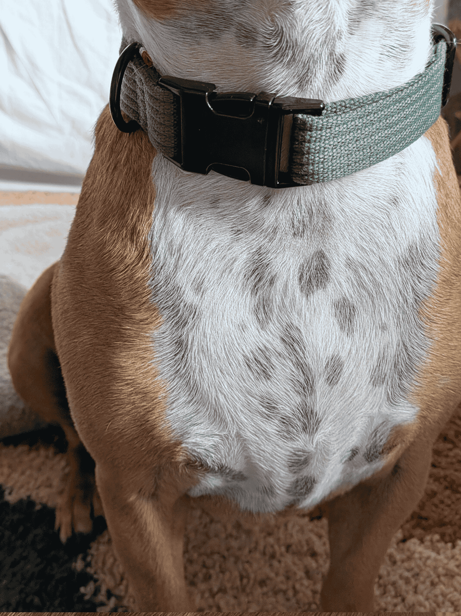 Collier signature Kaki orange