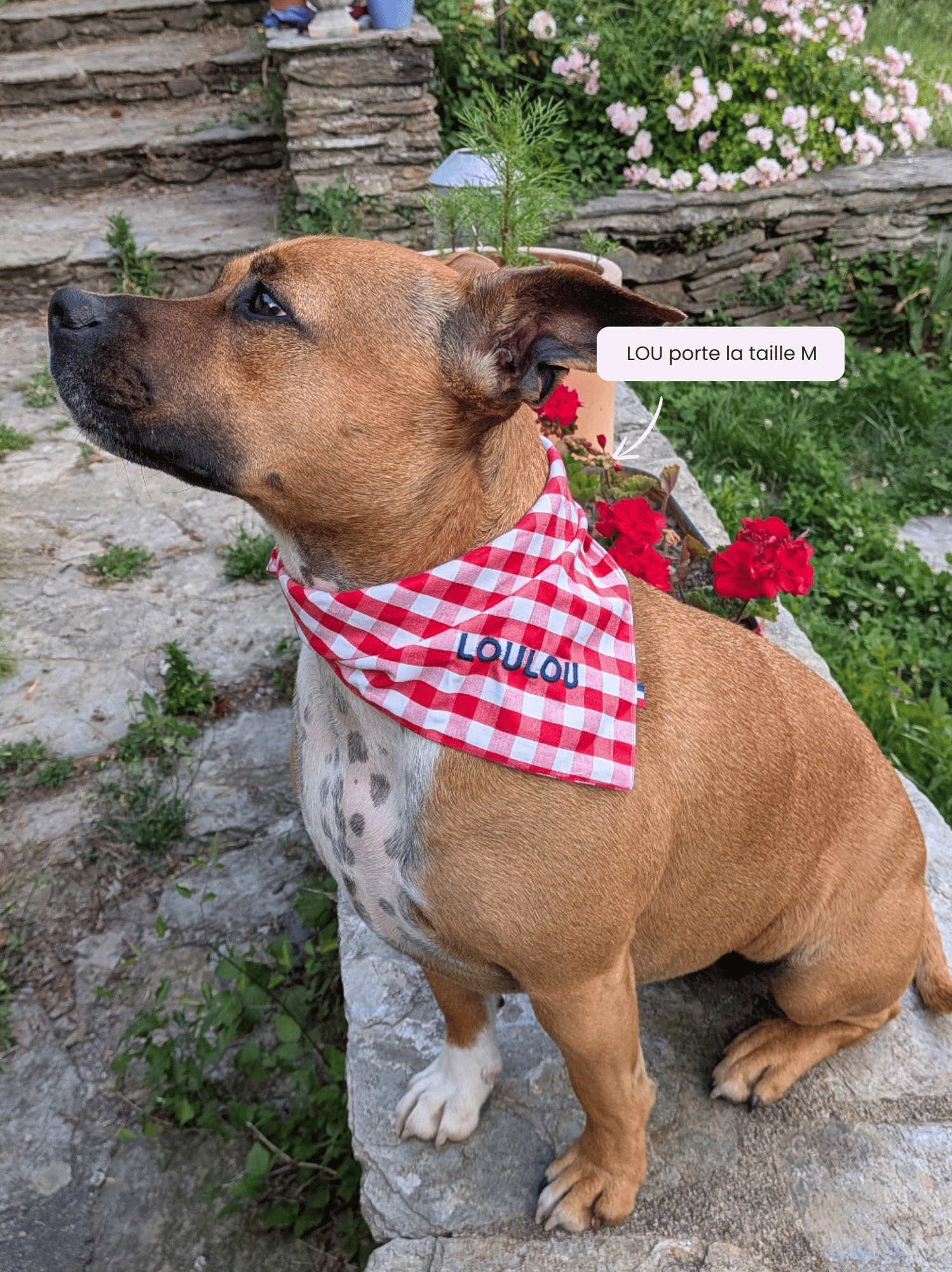 Bandana Vichy rouge