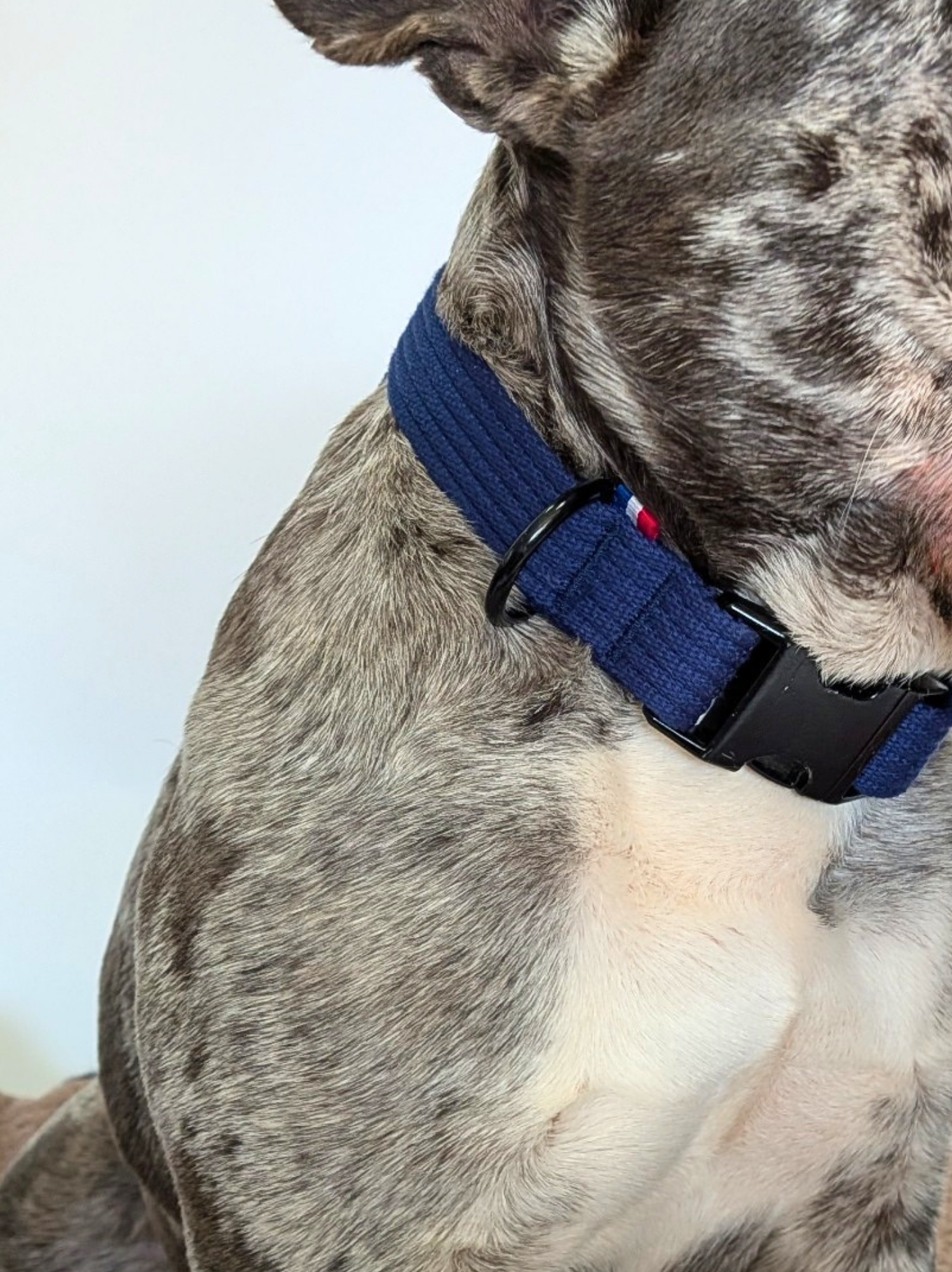 Collier signature Bleu glacier