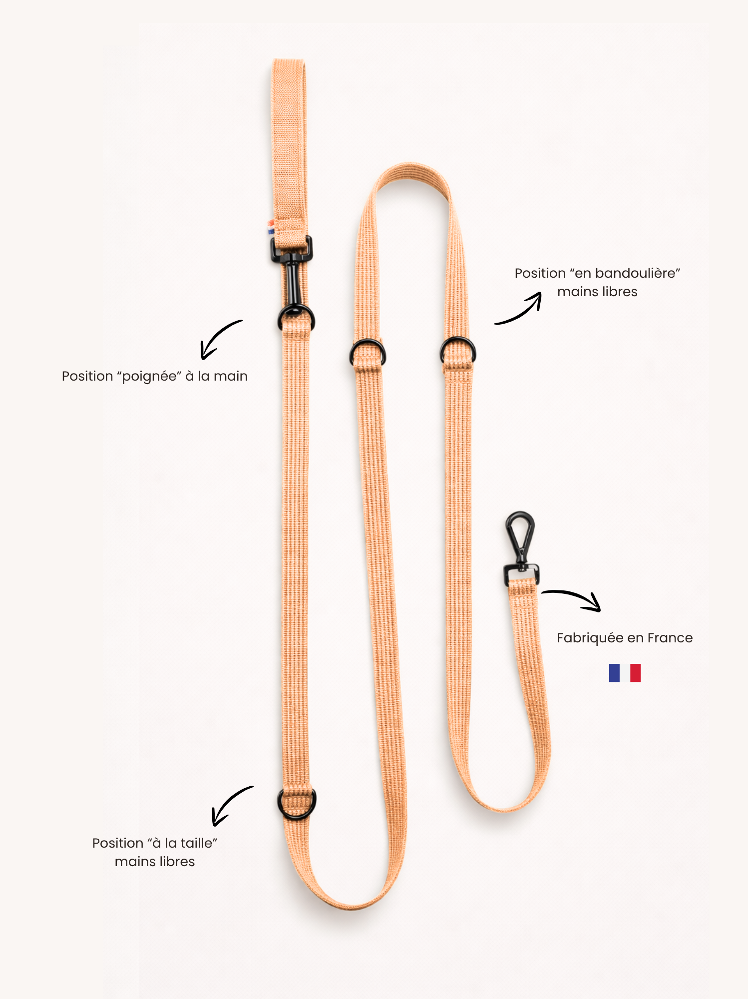 Laisse modulable Sable