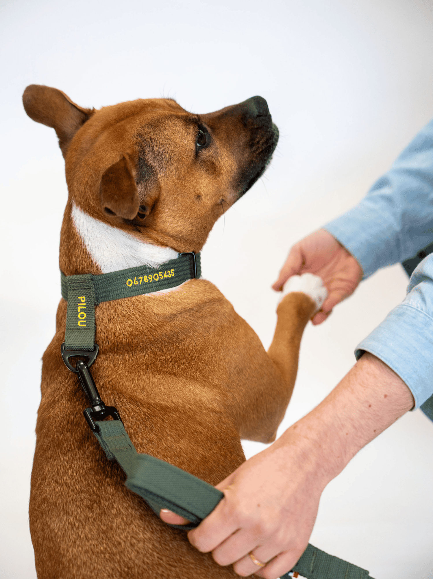 Collier signature Kaki jaune