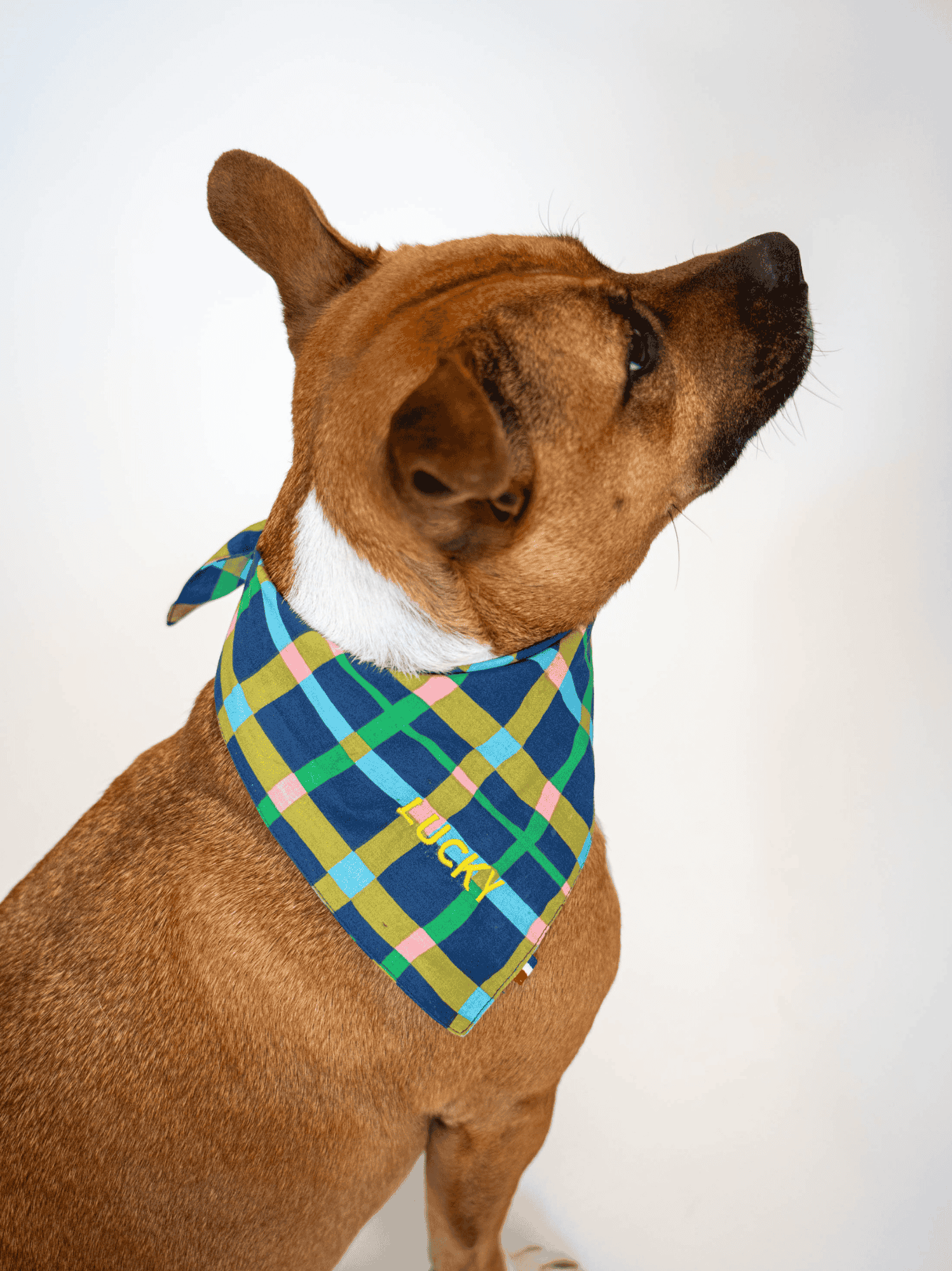Bandana Jardin