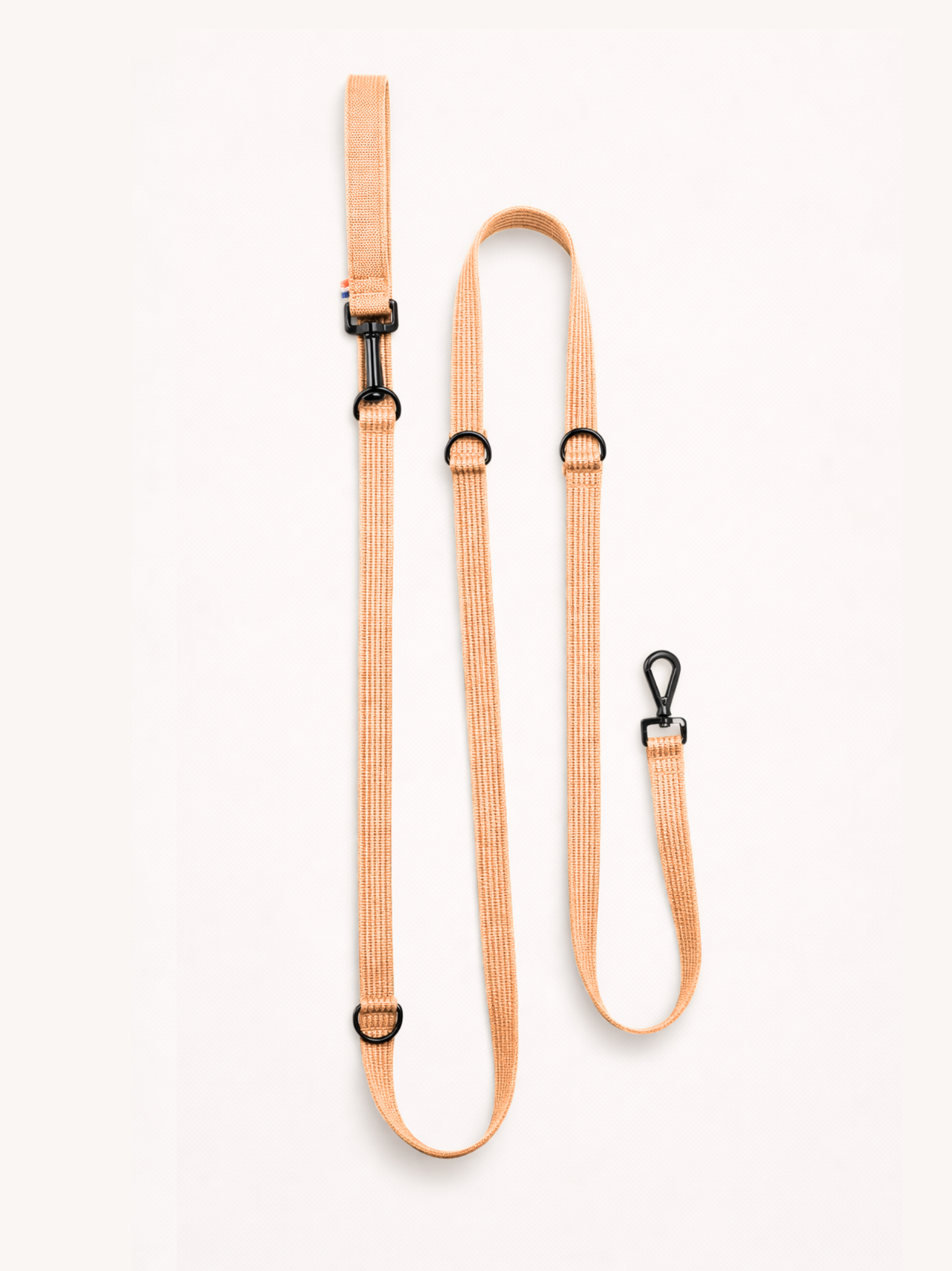 Laisse modulable Sable
