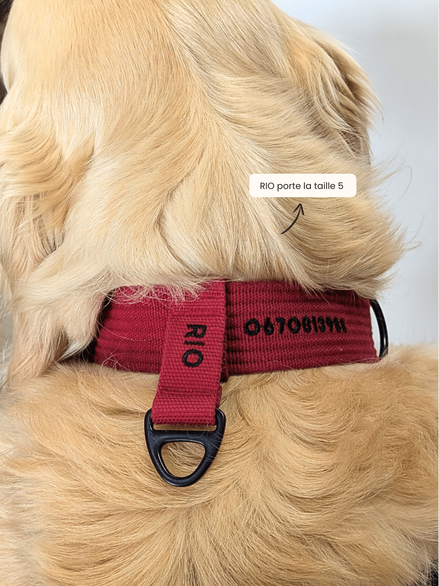 Collier signature Cerise noir