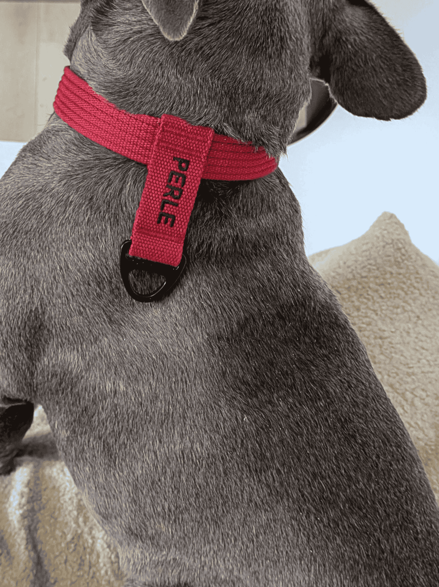 Collier signature Cerise noir