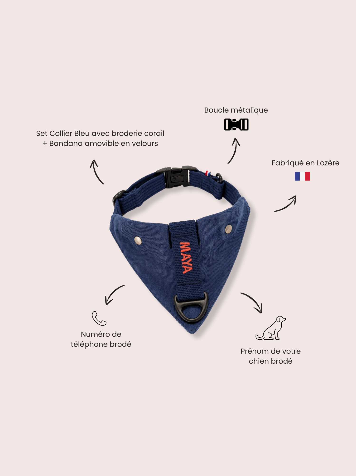 Collier Bleu corail et Bandana velours amovible