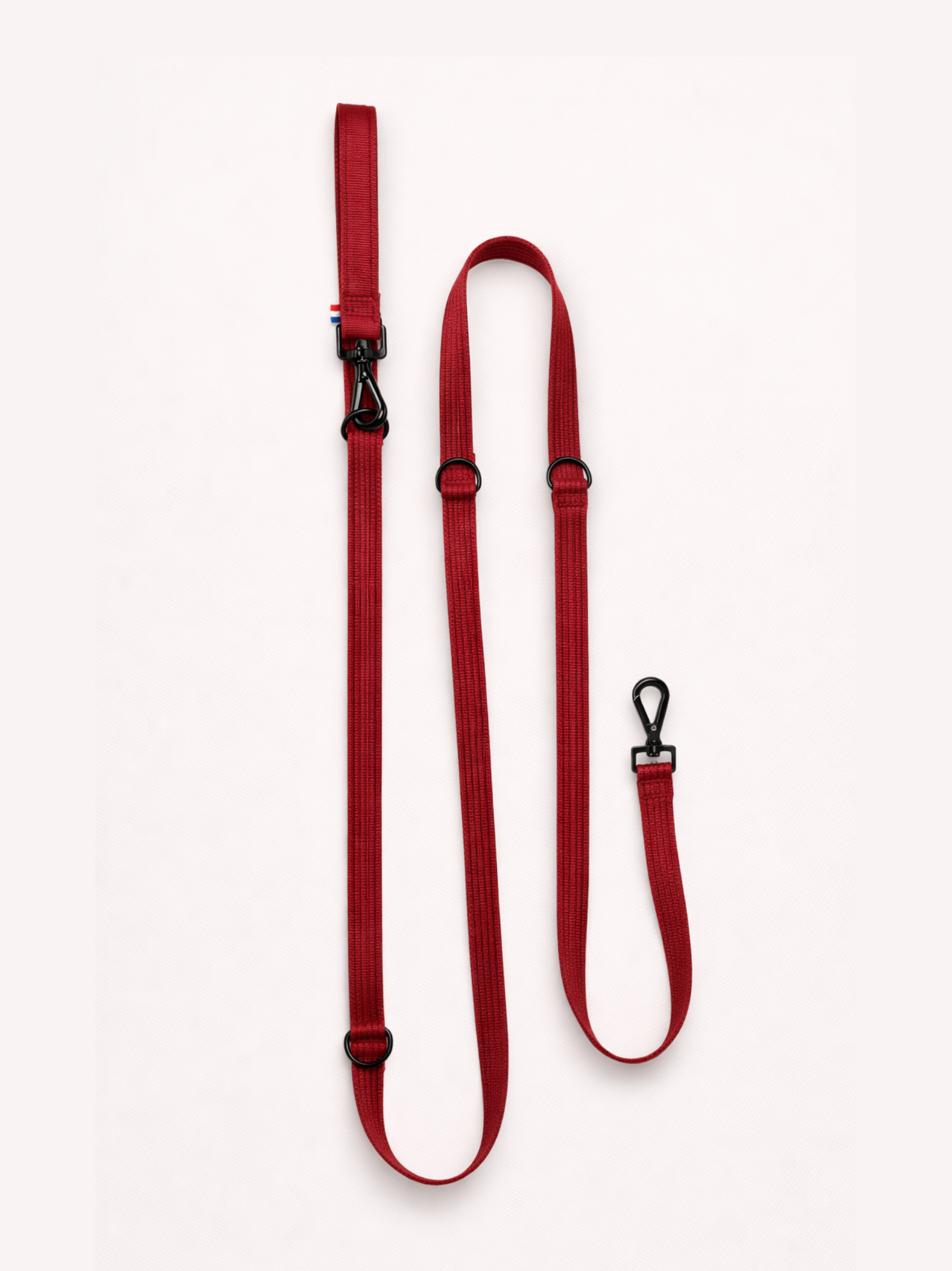 Laisse modulable Cerise