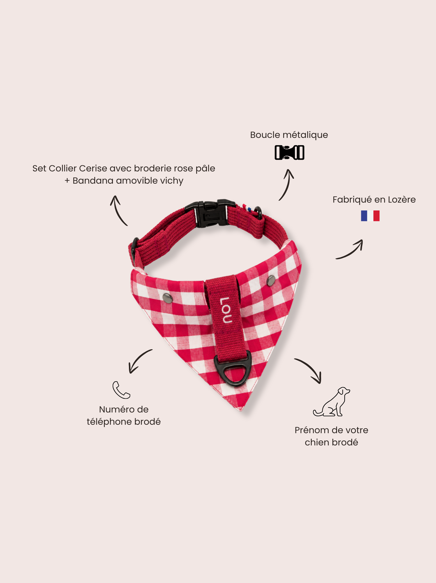 Collier Cerise rose et Bandana vichy amovible
