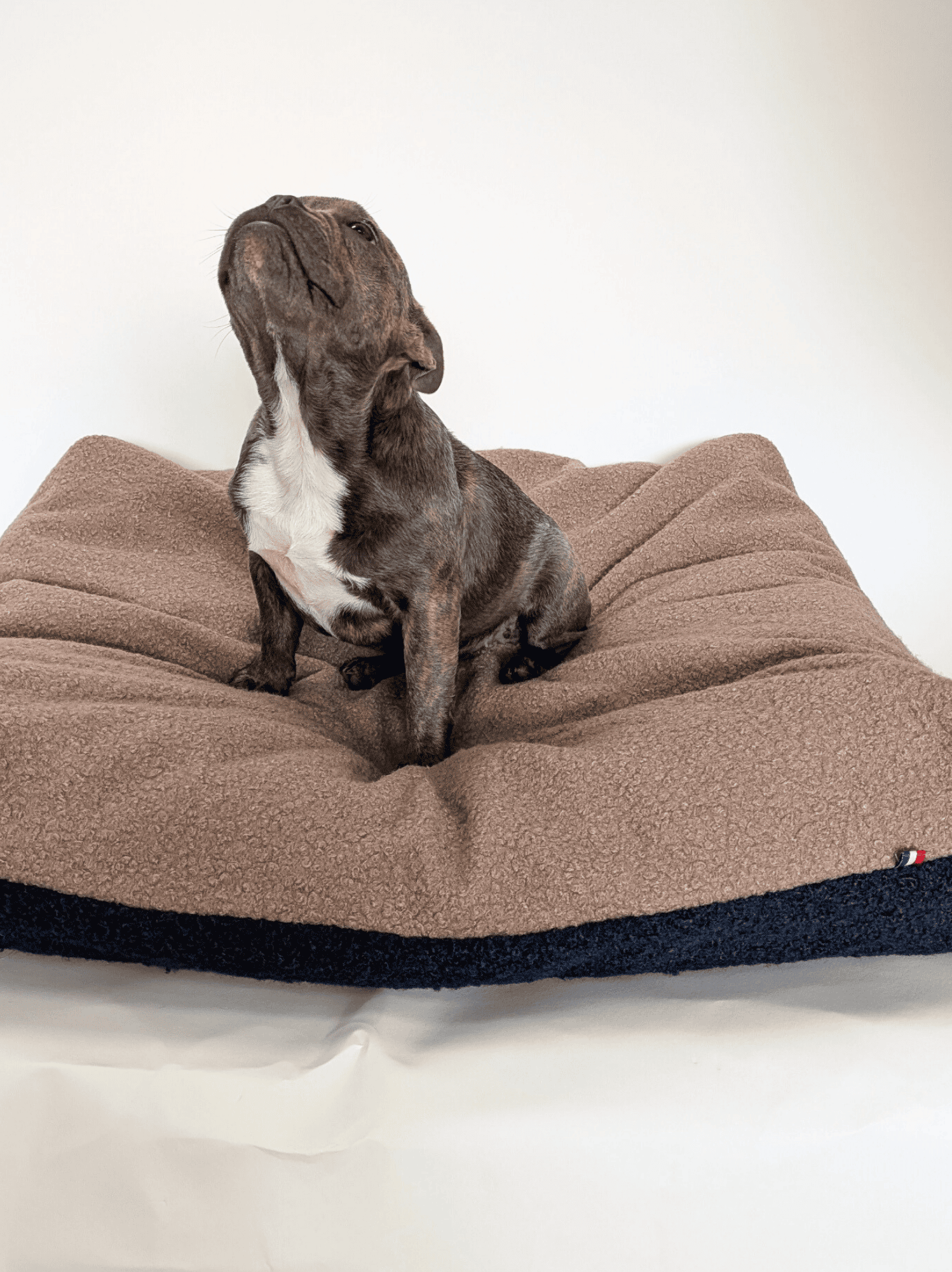 Coussin Teddy Bouclette Brun Marine