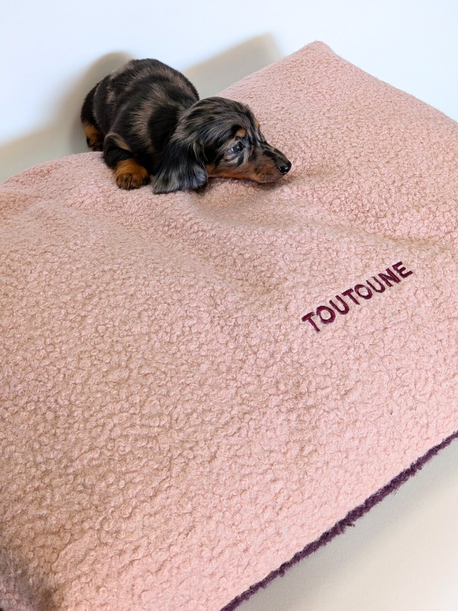 Coussin Teddy Bouclette Rose Prune