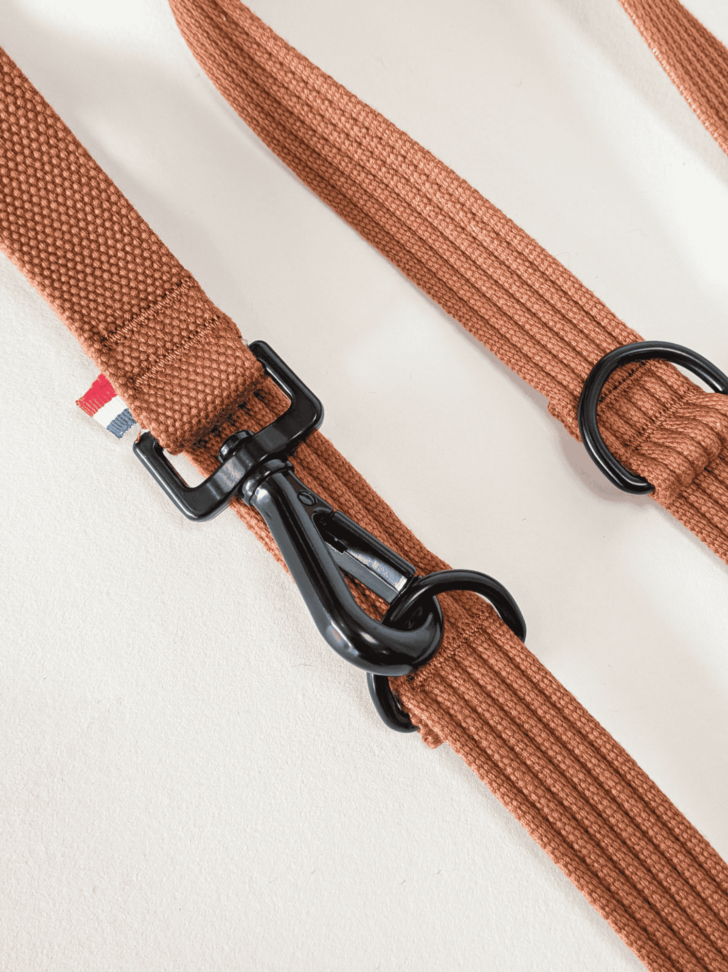 Laisse modulable Caramel