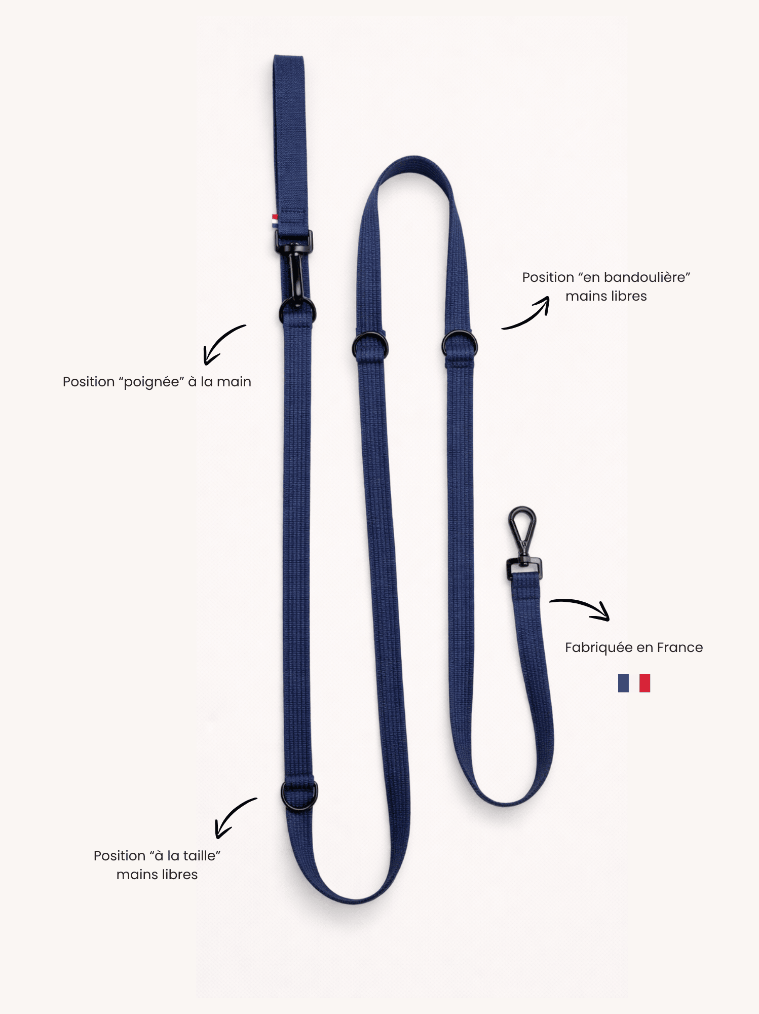 Laisse modulable Bleue