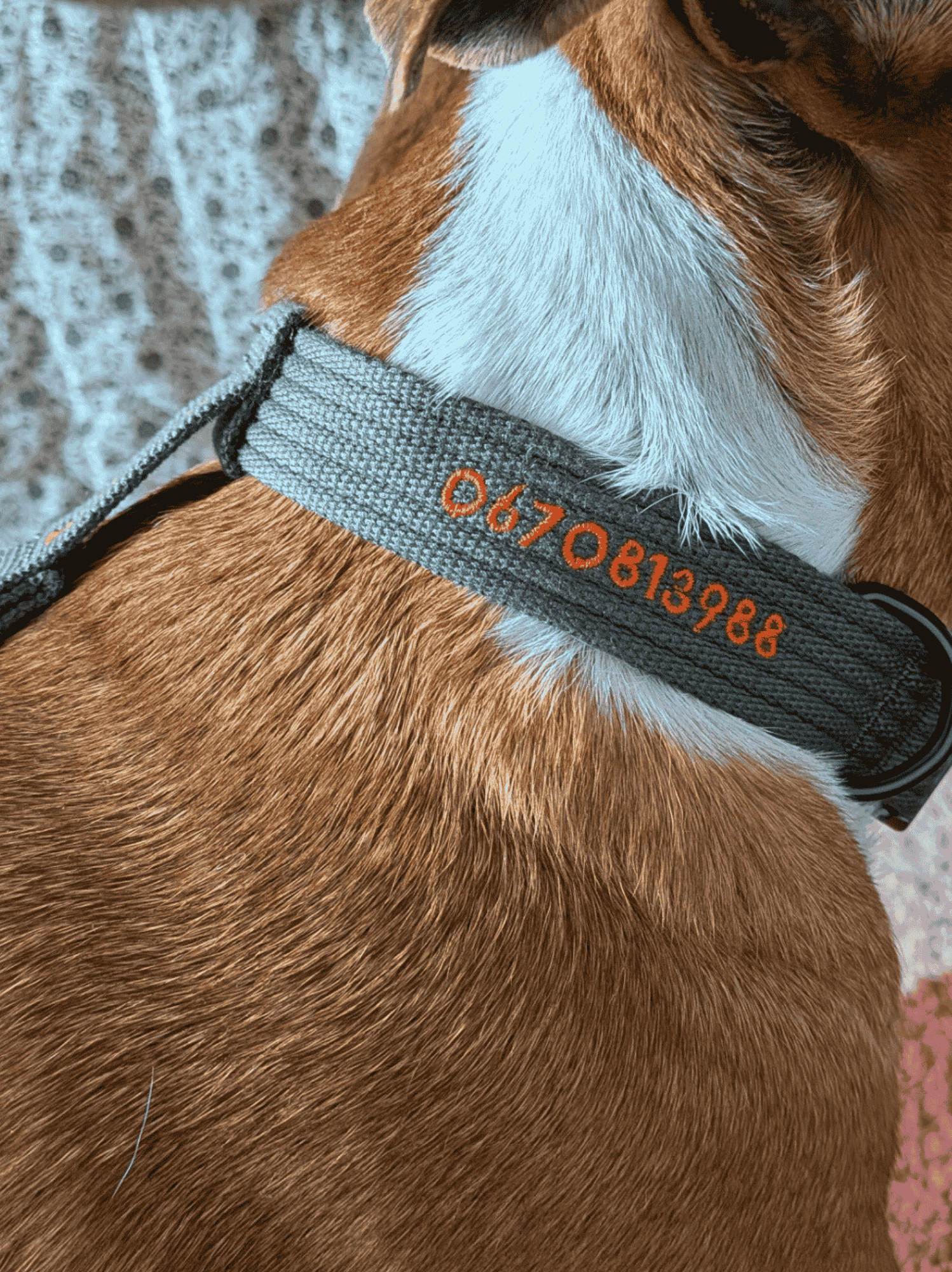 Collier signature Kaki orange