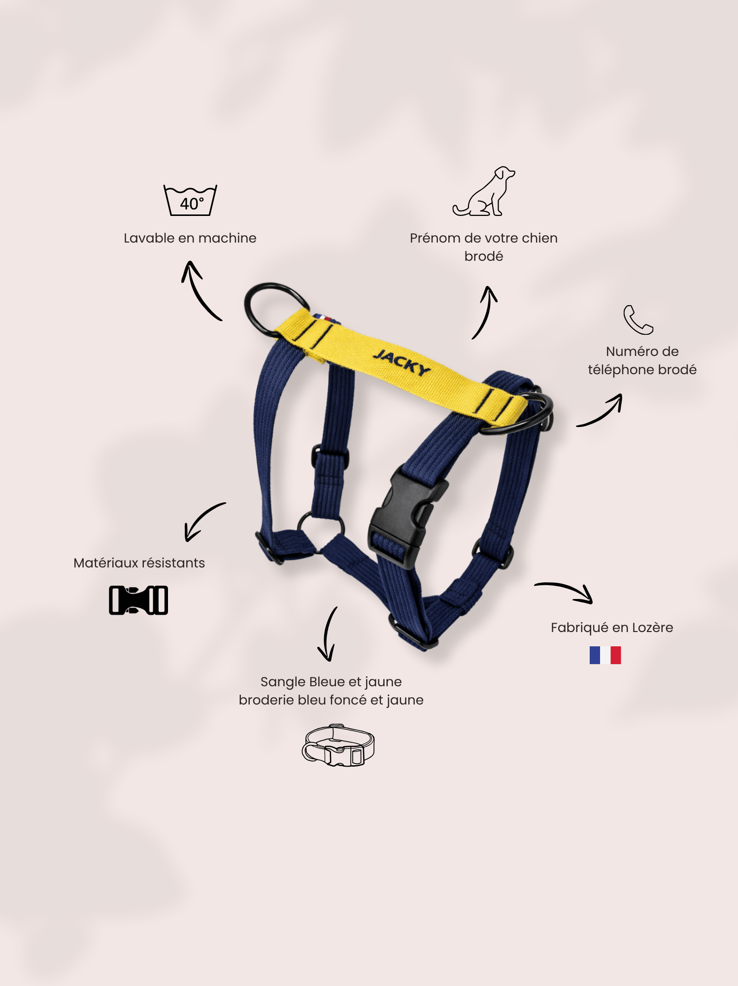 Harnais classique Bleu-Jaune