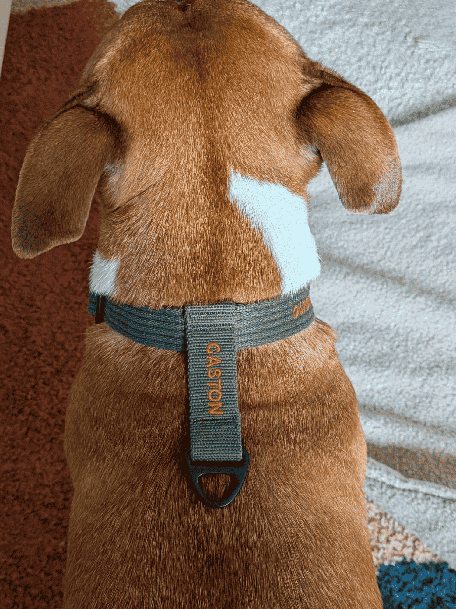 Collier signature Kaki orange