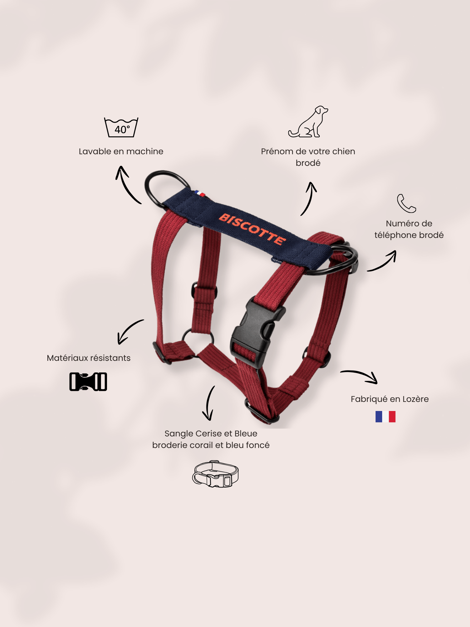 Harnais classique Cerise-Bleu