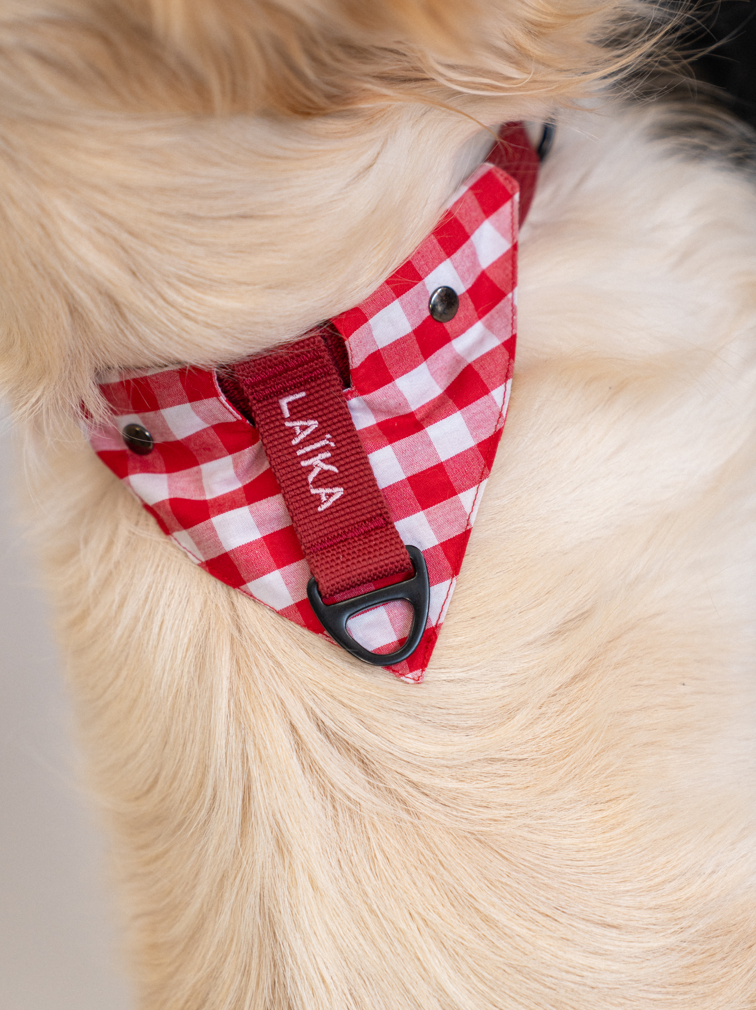 Collier Cerise rose et Bandana vichy amovible