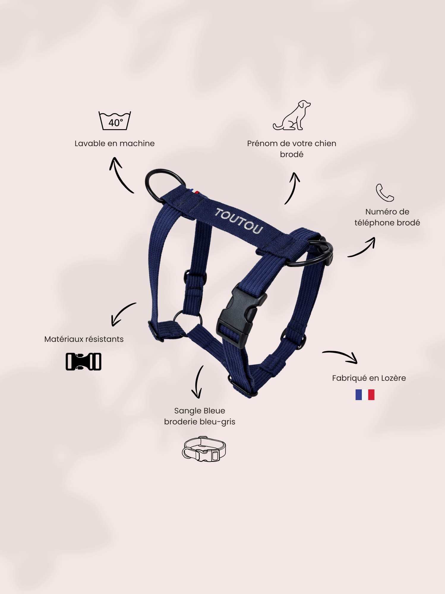 Harnais classique Bleu