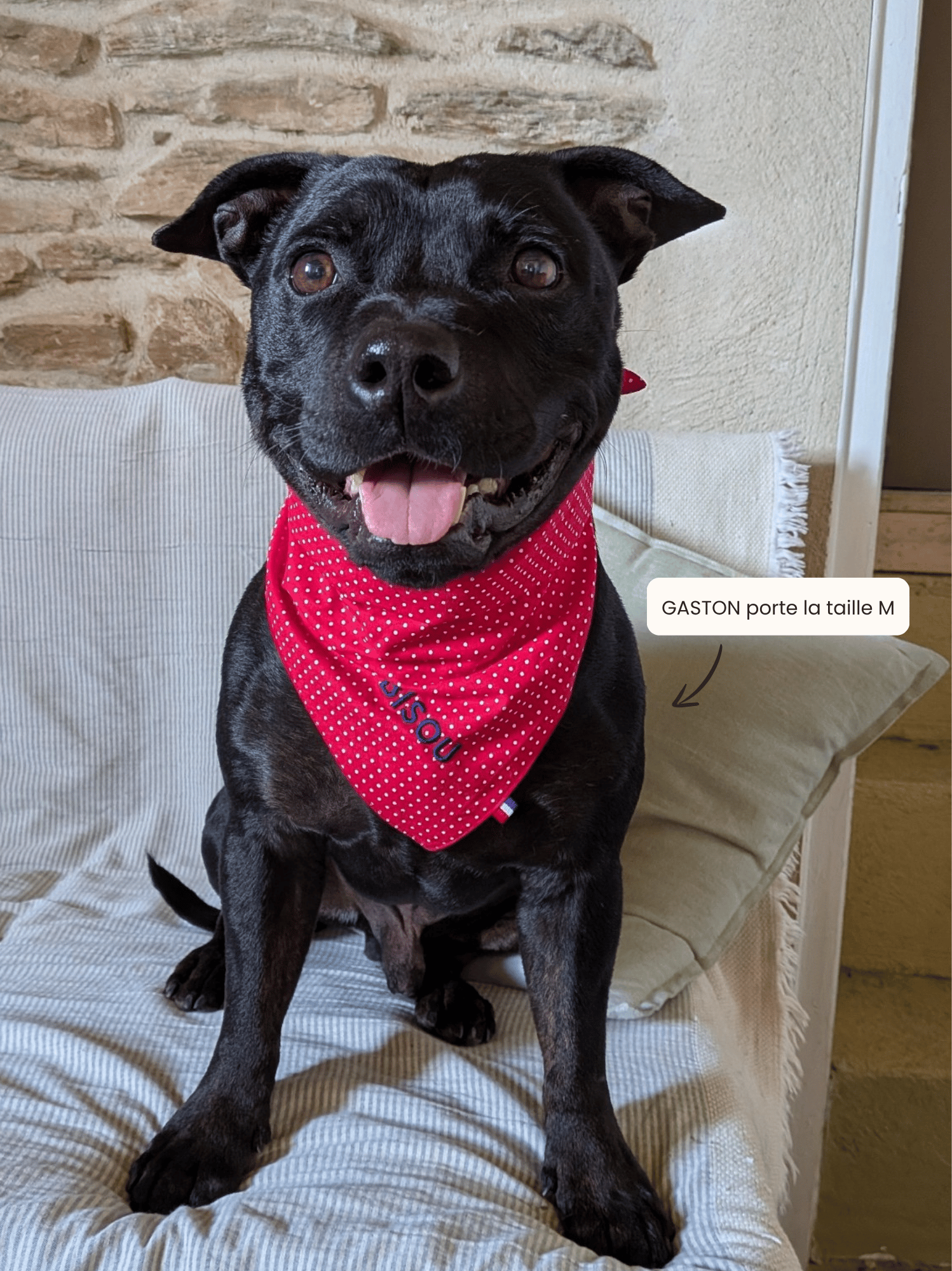 Bandana à Pois rouge
