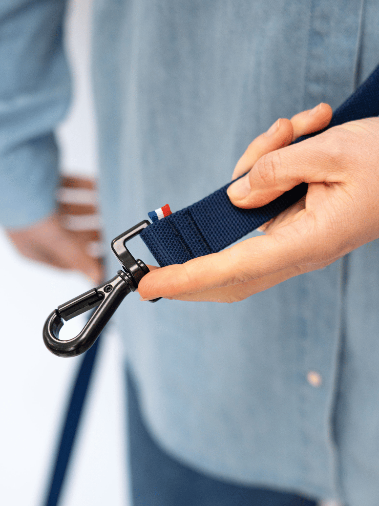 Laisse modulable Bleue