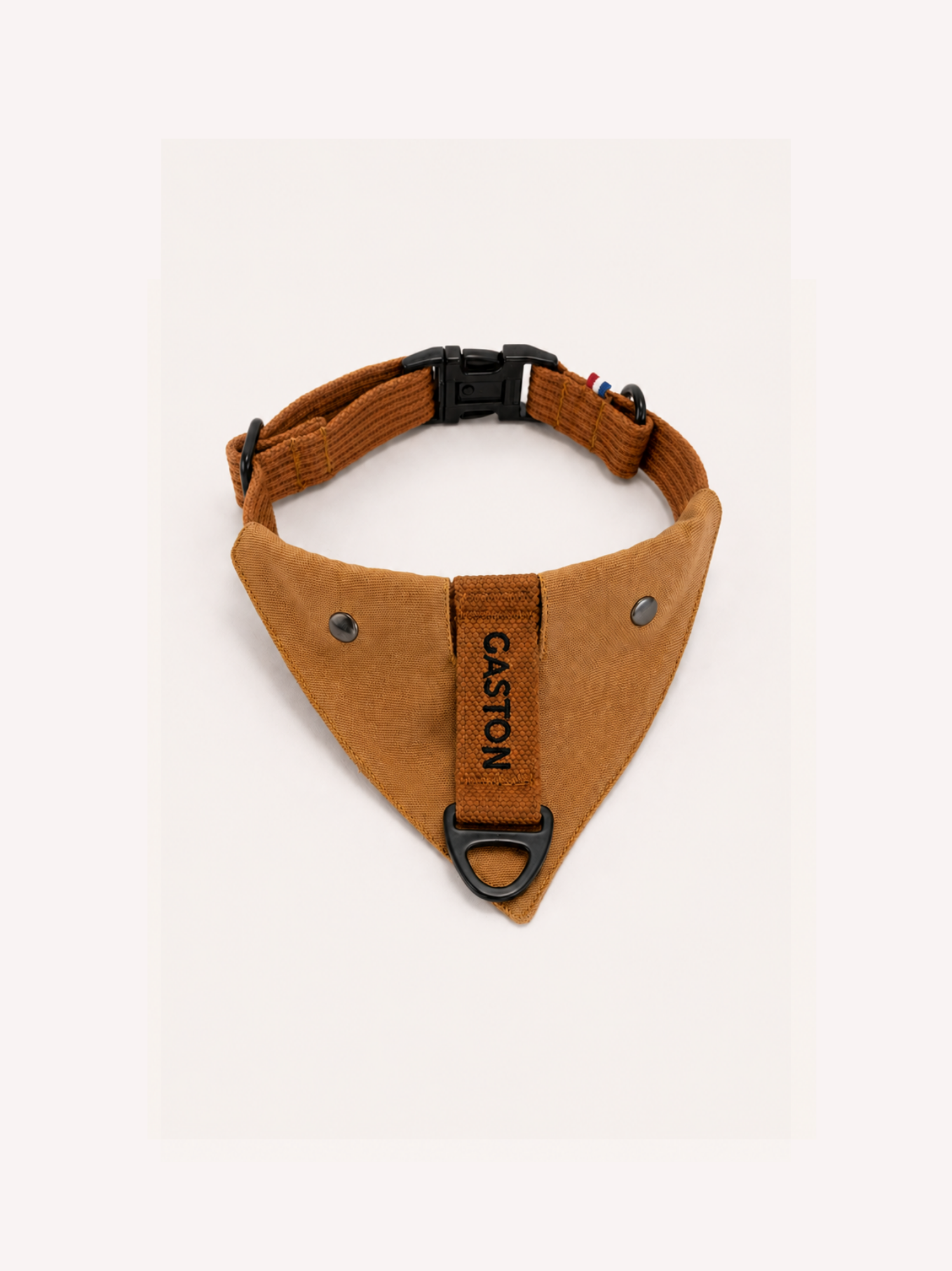 Collier Caramel noir et Bandana camel amovible