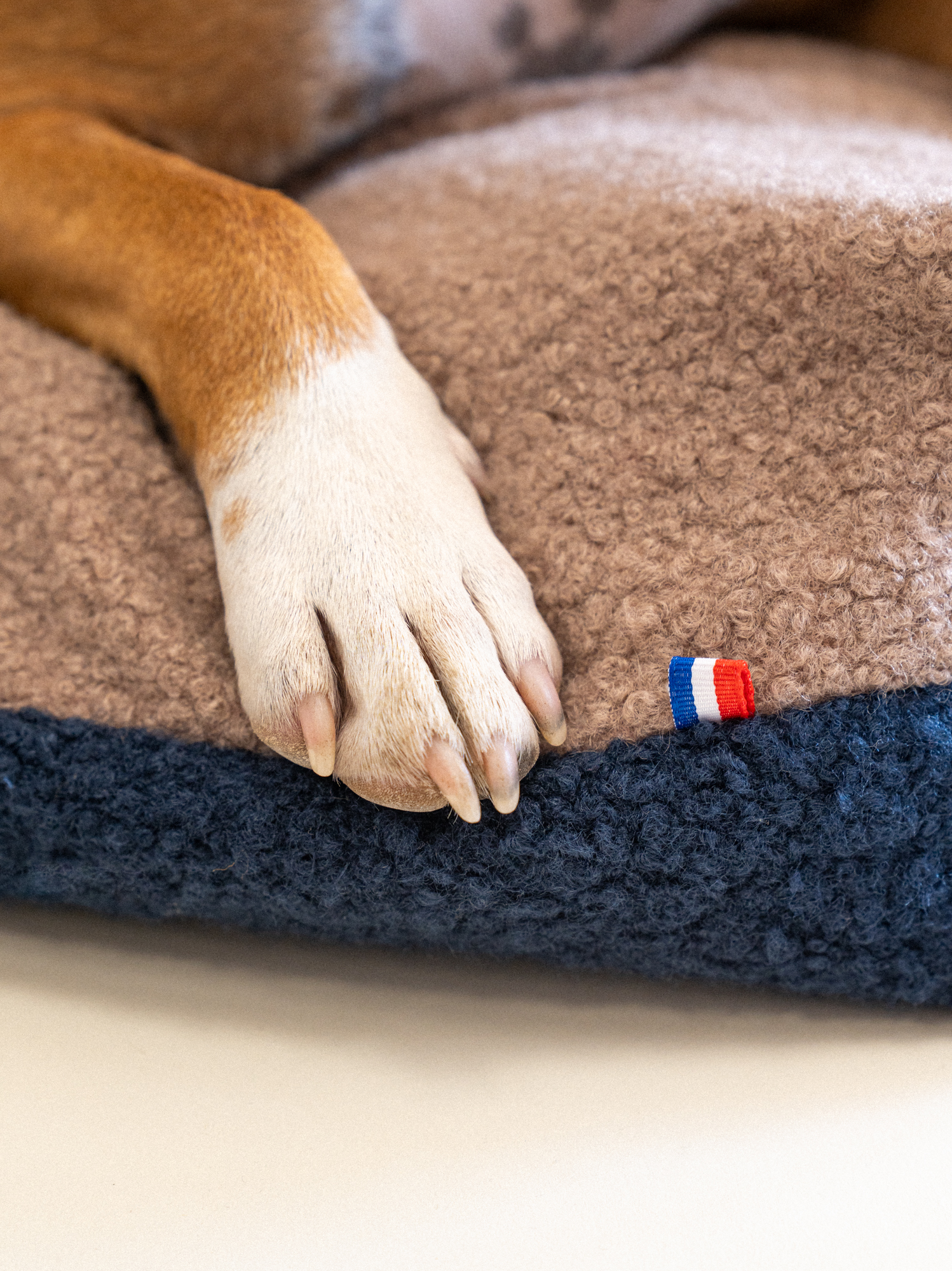 Coussin Teddy Bouclette Brun Marine