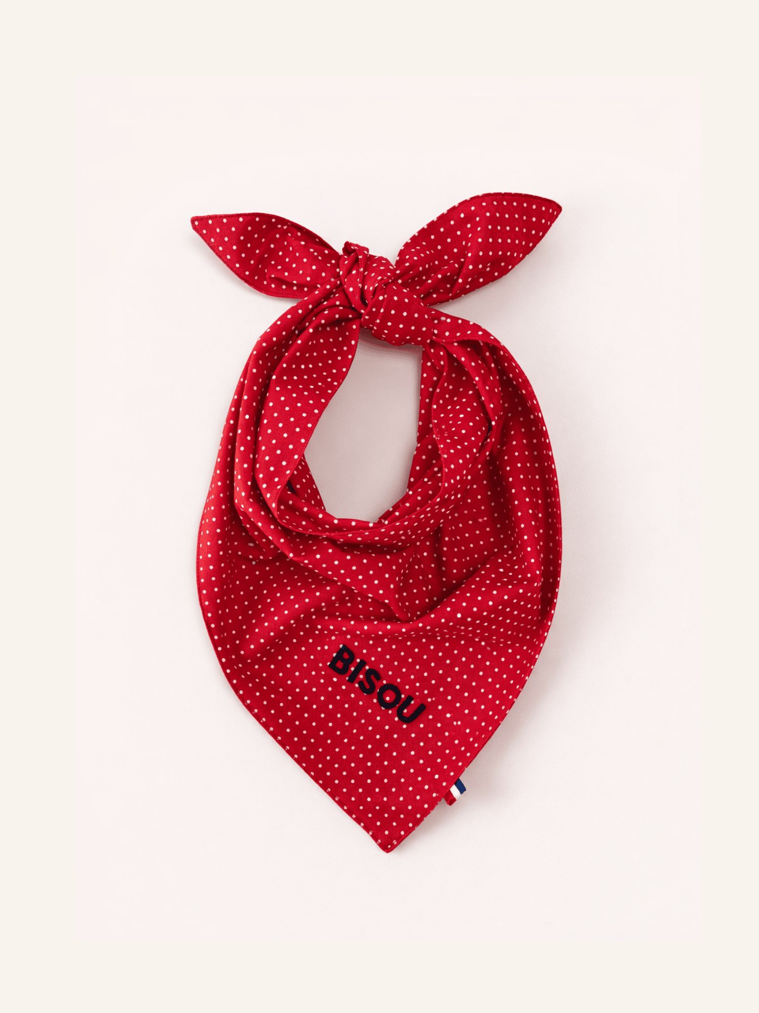 Bandana à Pois rouge