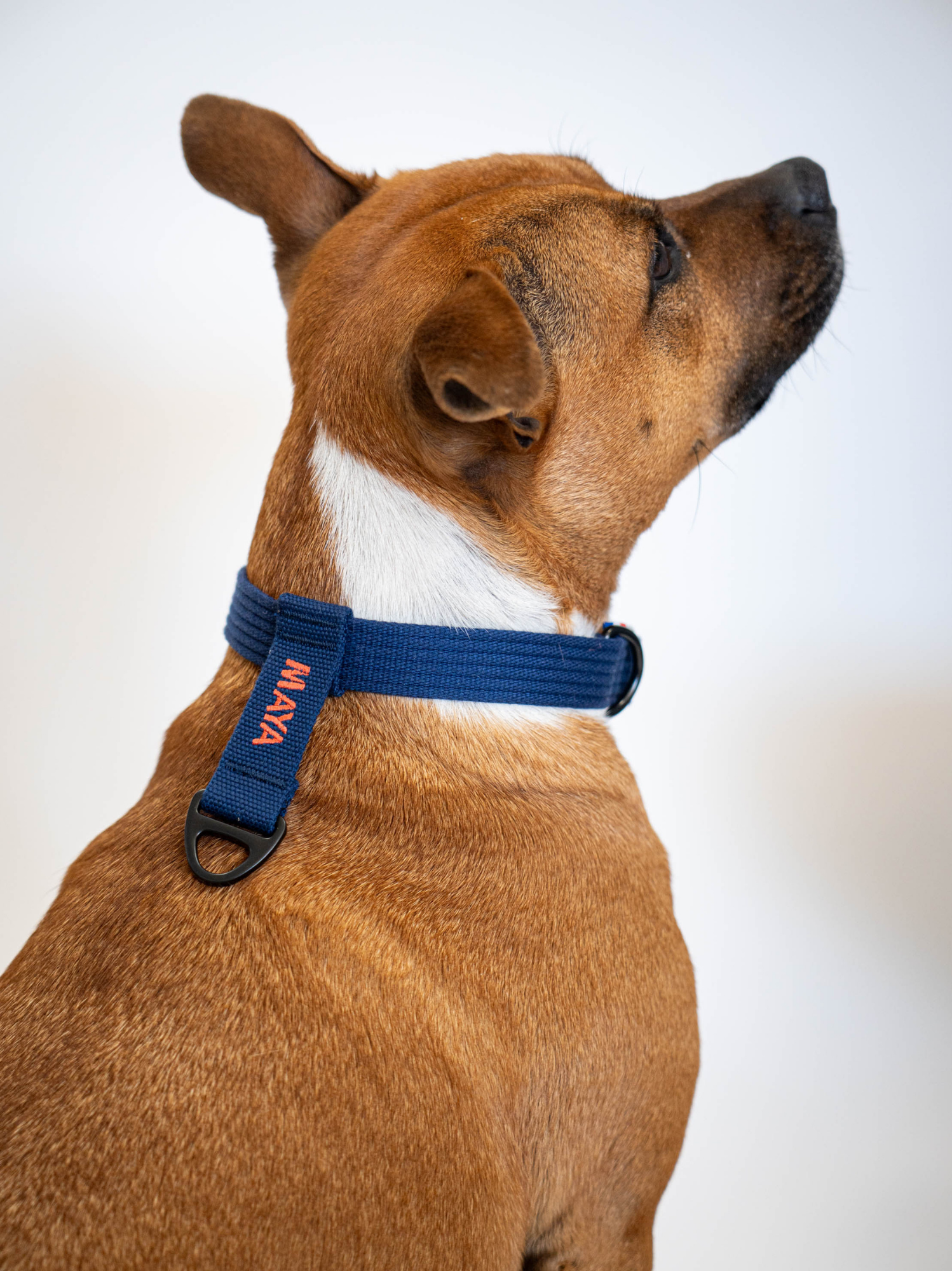 Collier signature Bleu corail