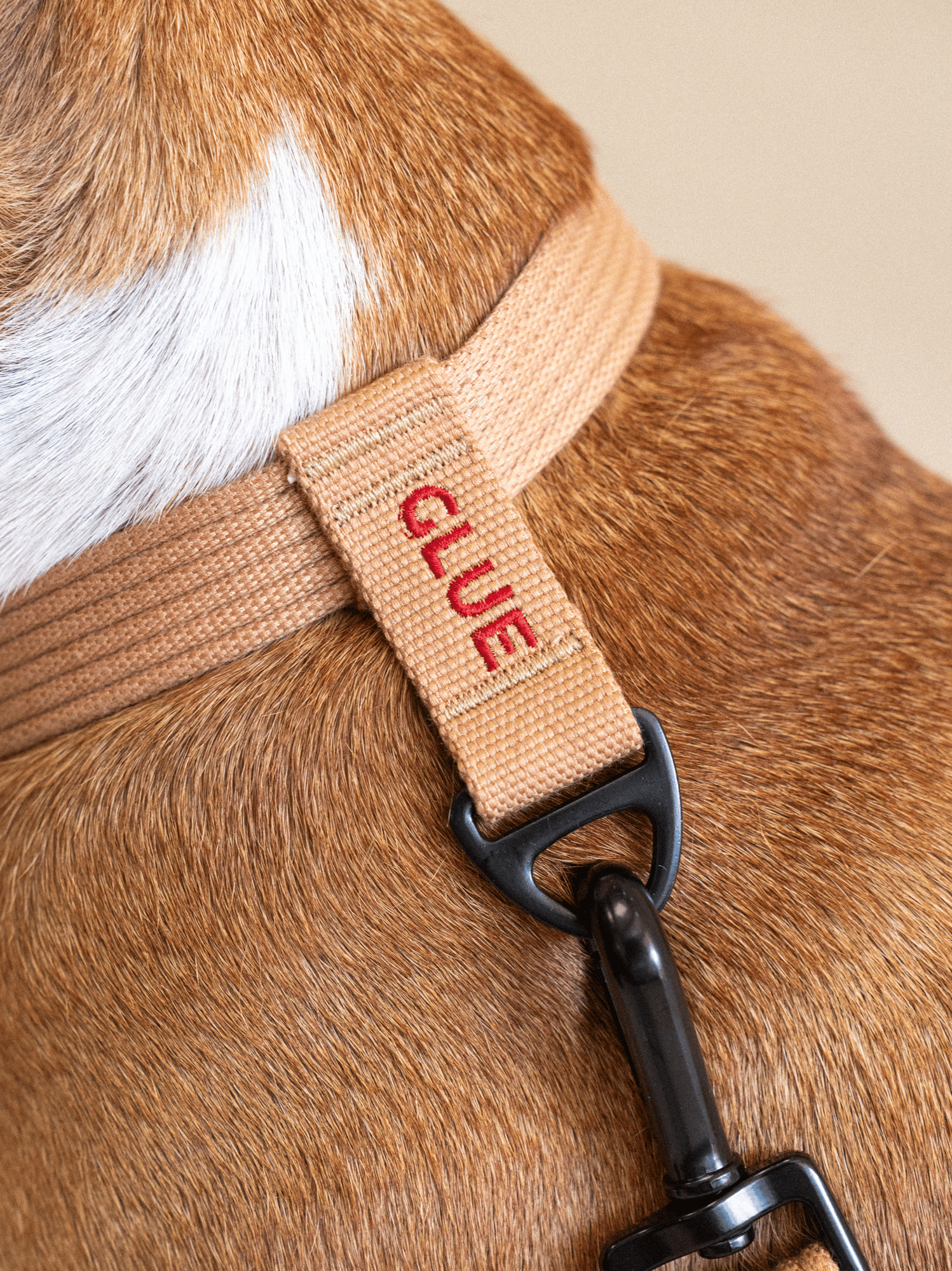Collier signature Sable rouge