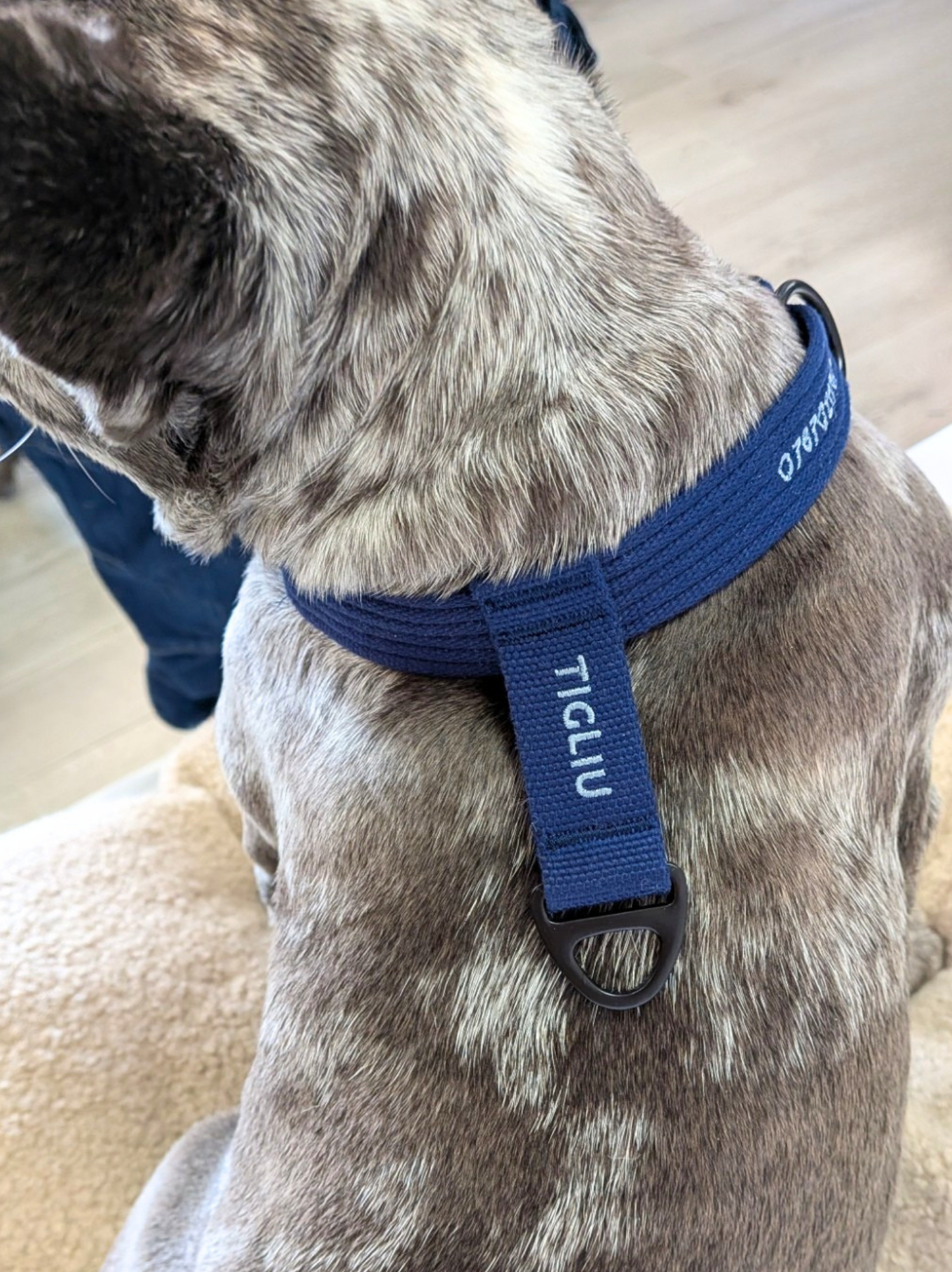 Collier signature Bleu glacier