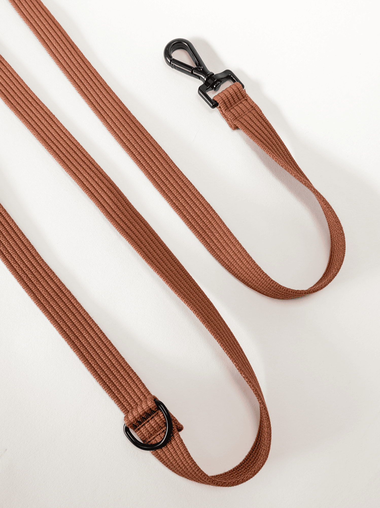 Laisse modulable Caramel