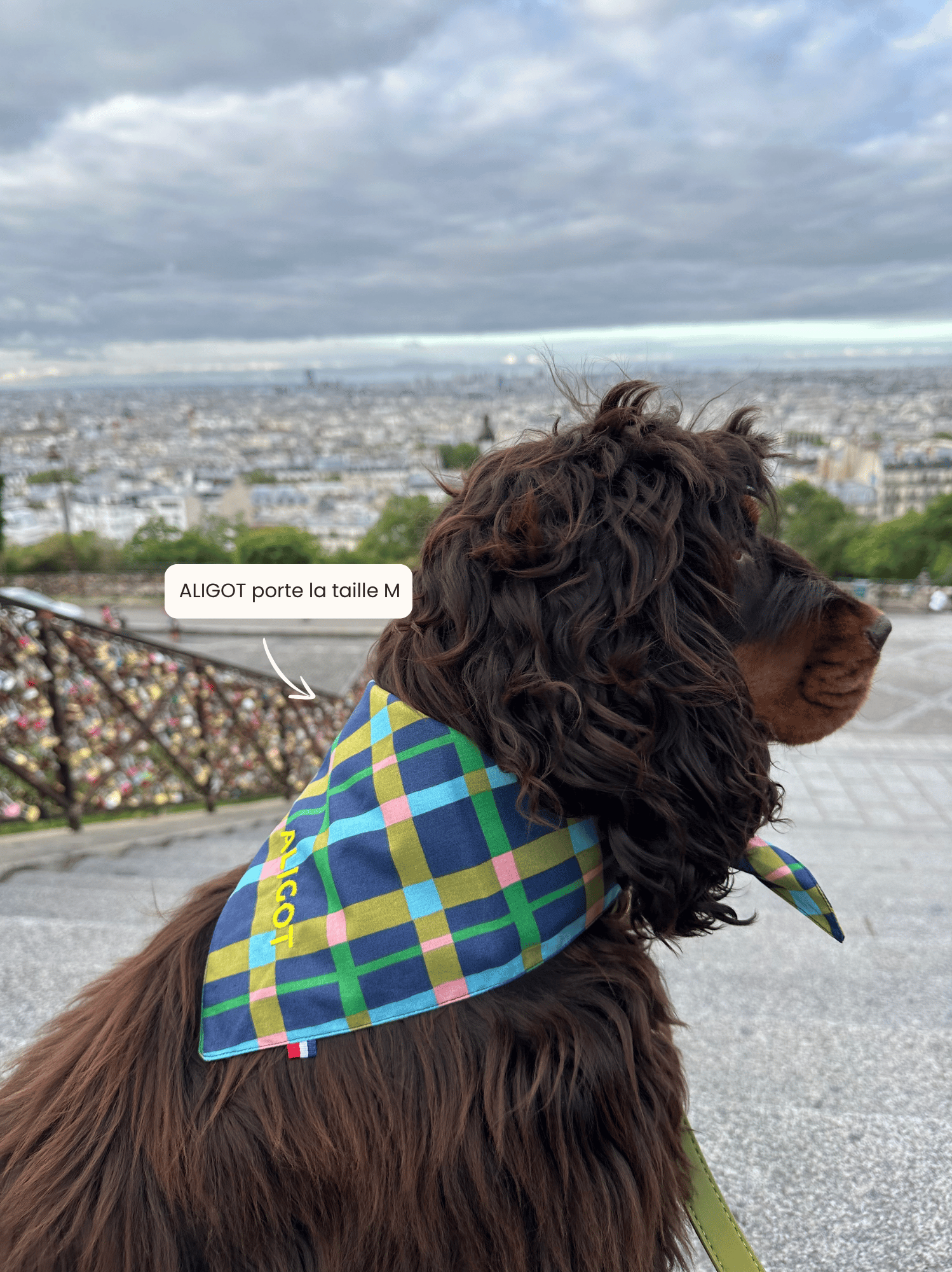 Bandana Jardin