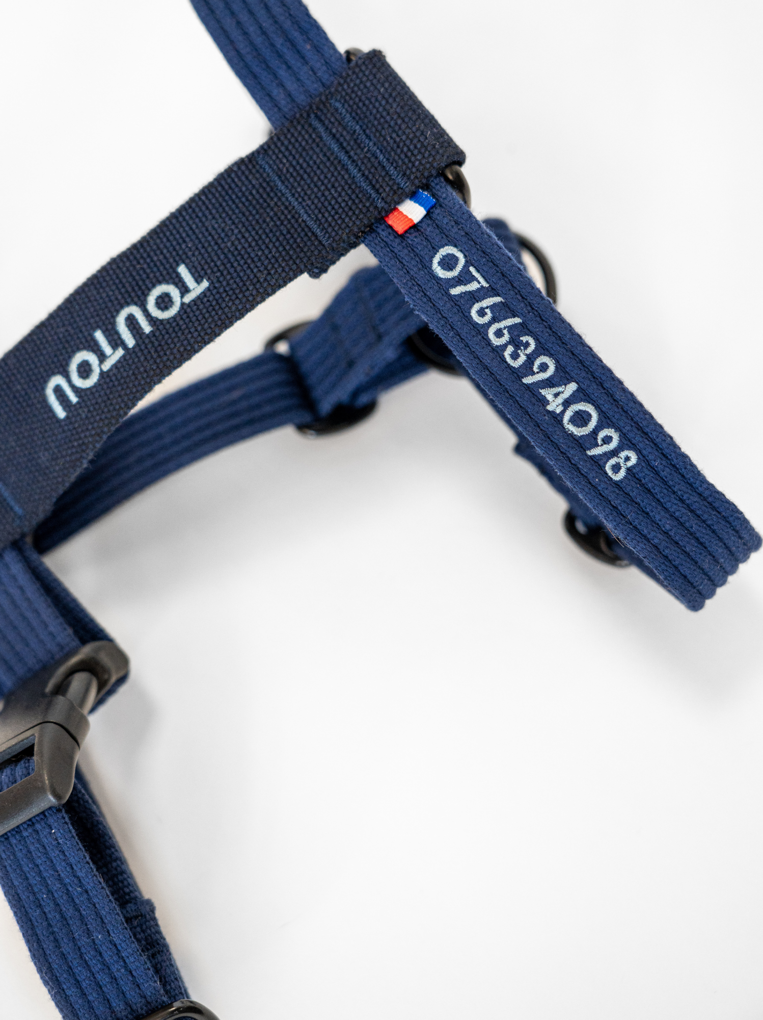 Harnais classique Bleu