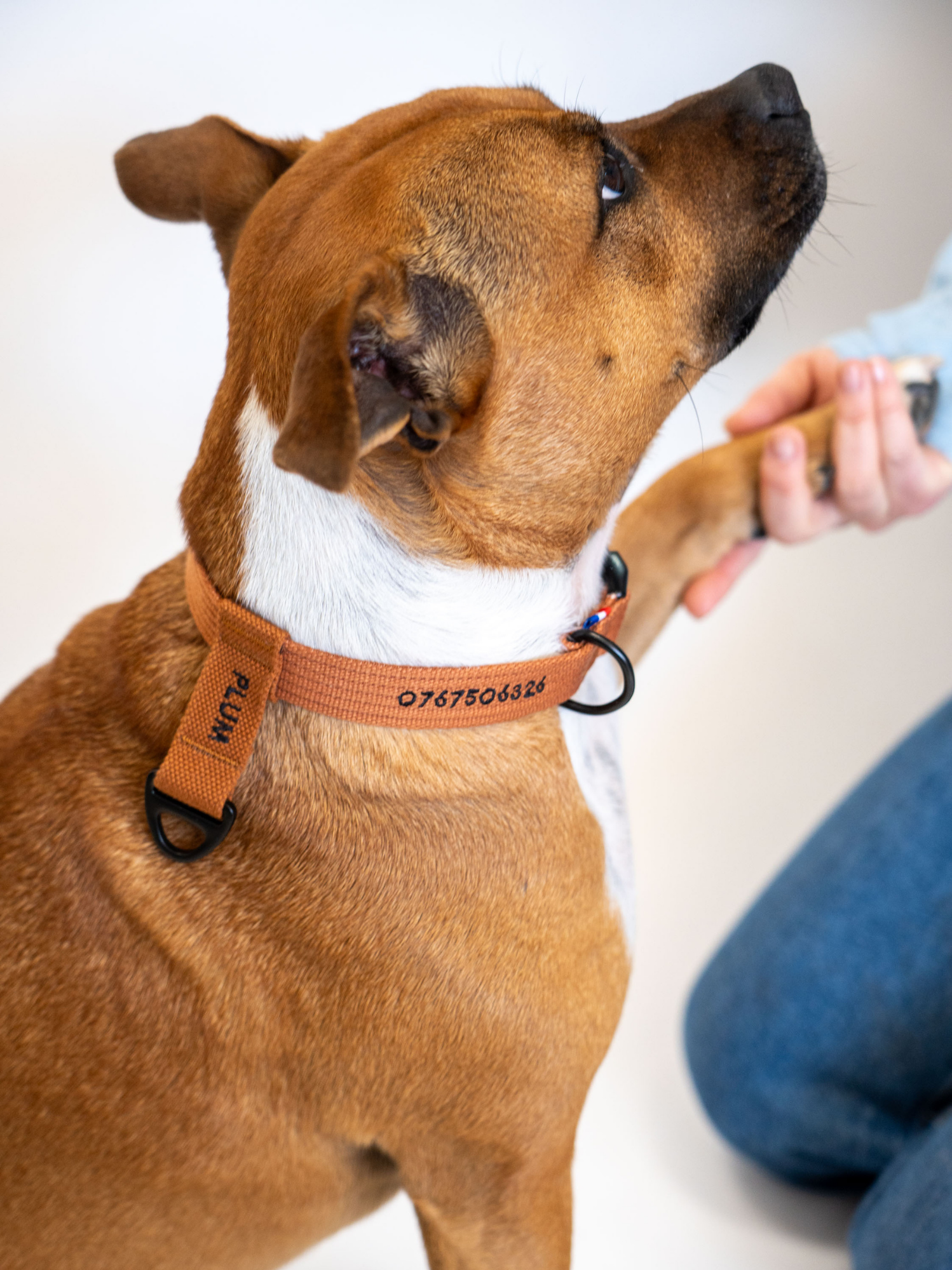 Collier signature Caramel noir