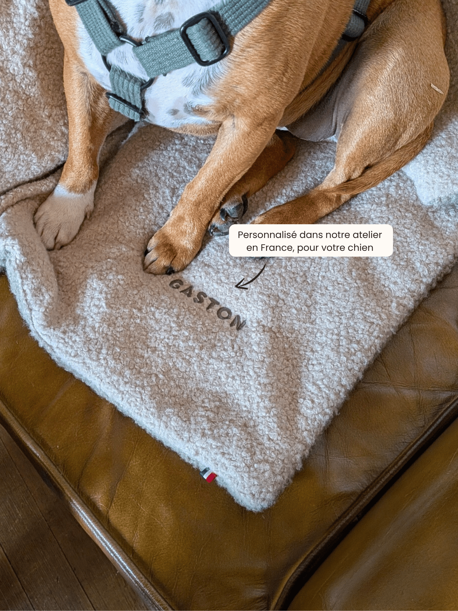 Couverture Teddy Bouclette Beige Kaki
