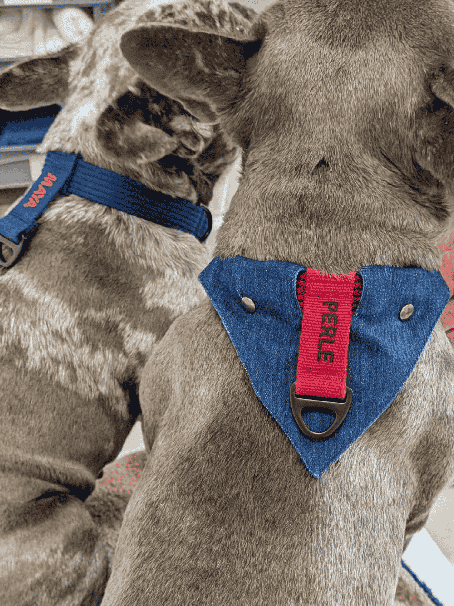 Bandana à fixer Denim