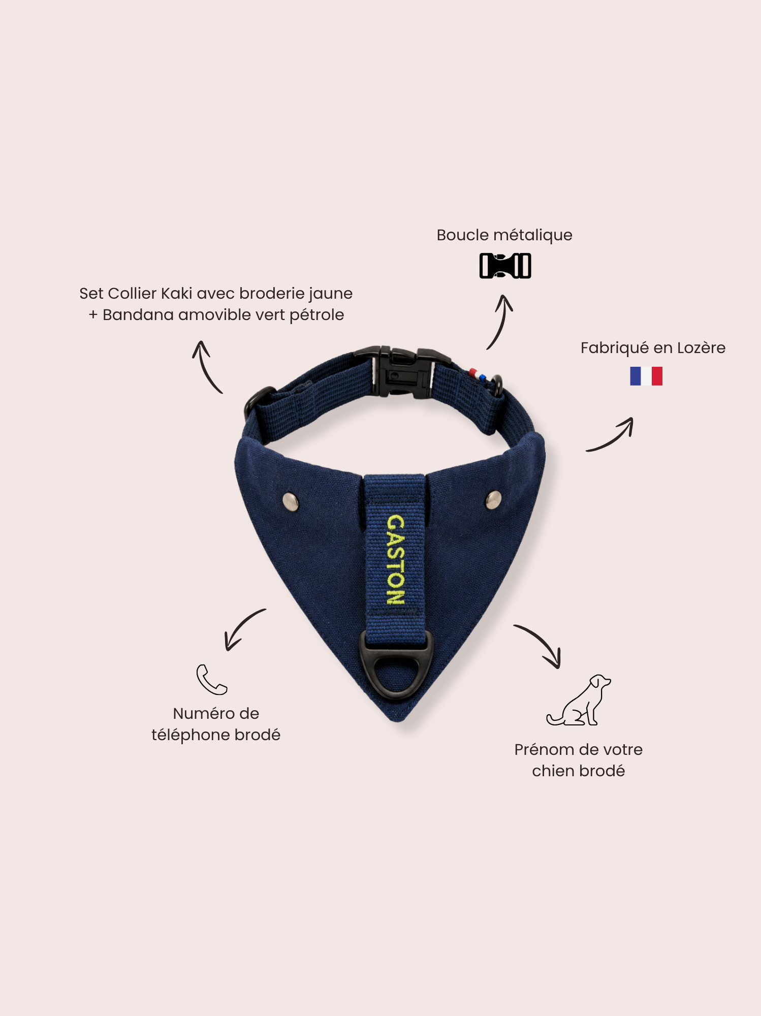 Collier Bleu néon et Bandana bleu amovible