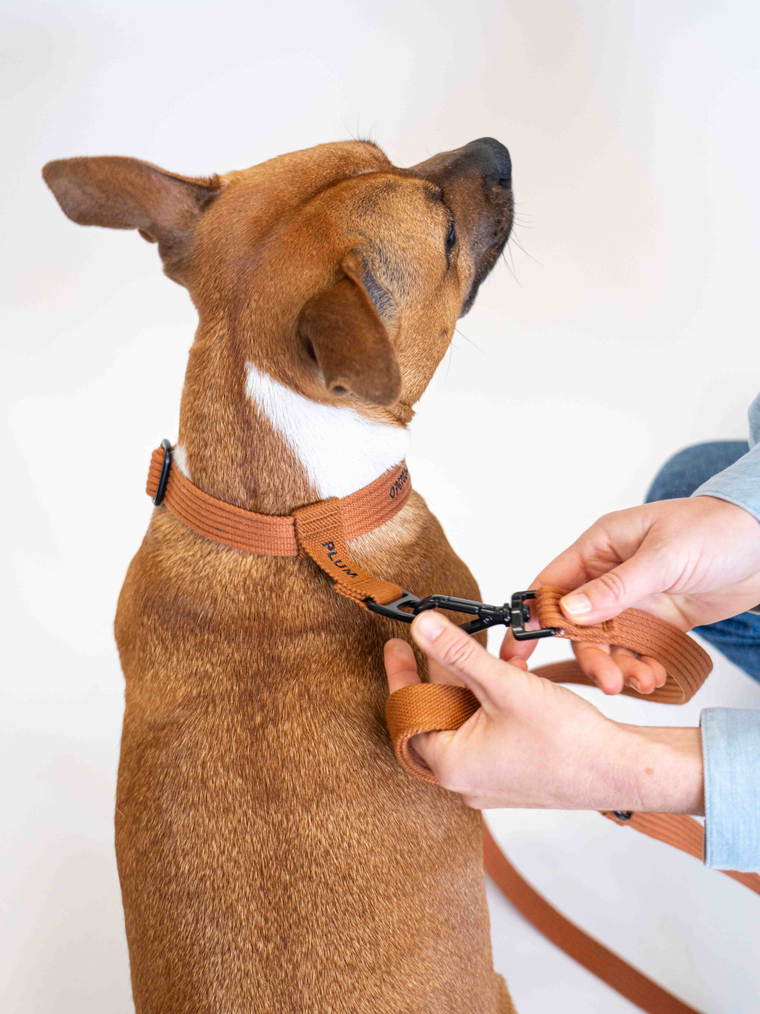 Collier signature Caramel noir