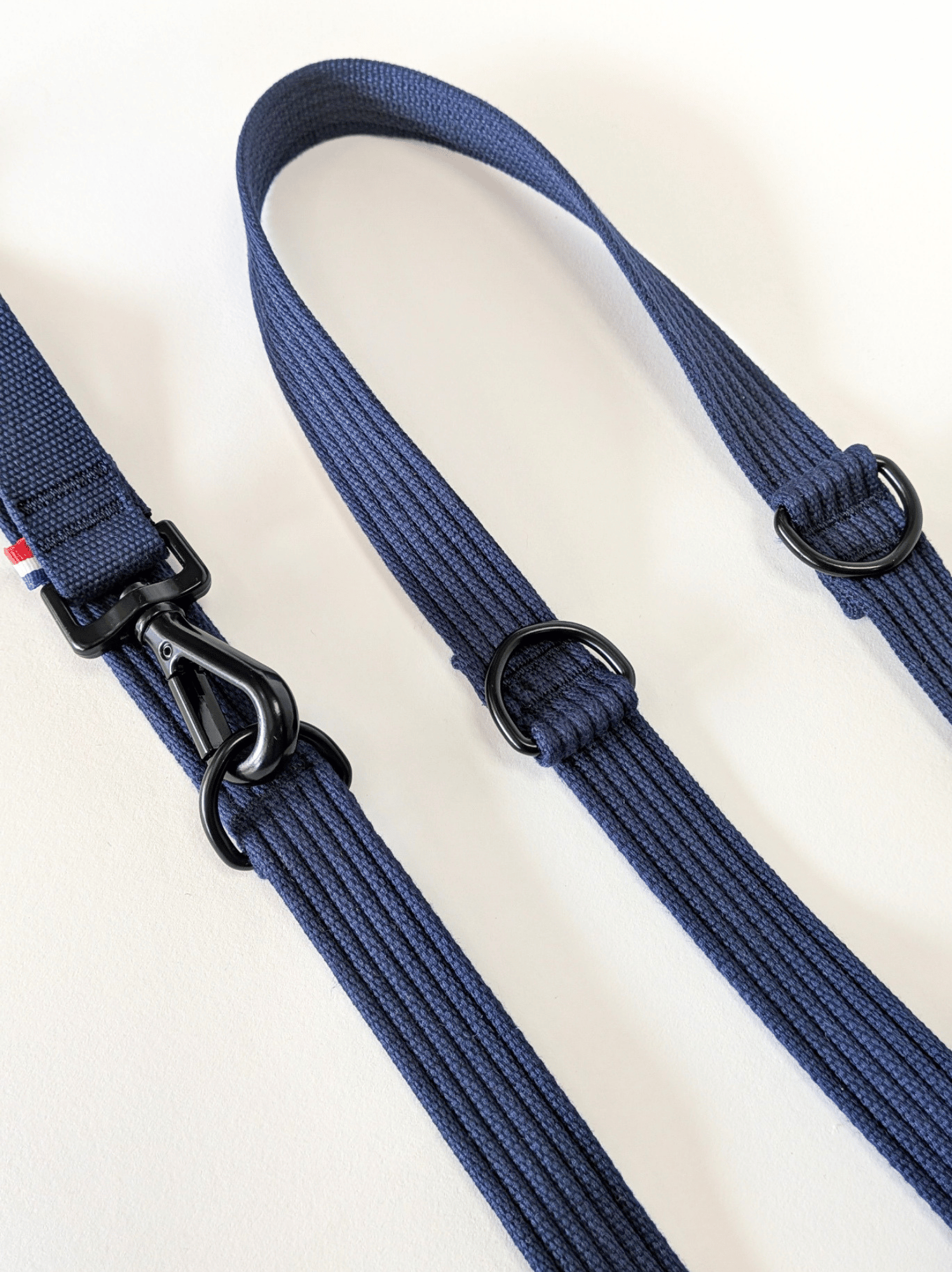 Laisse modulable Bleue corail