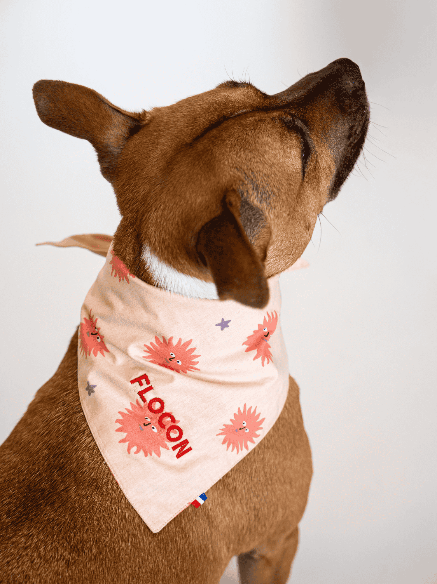 Bandana Soleil