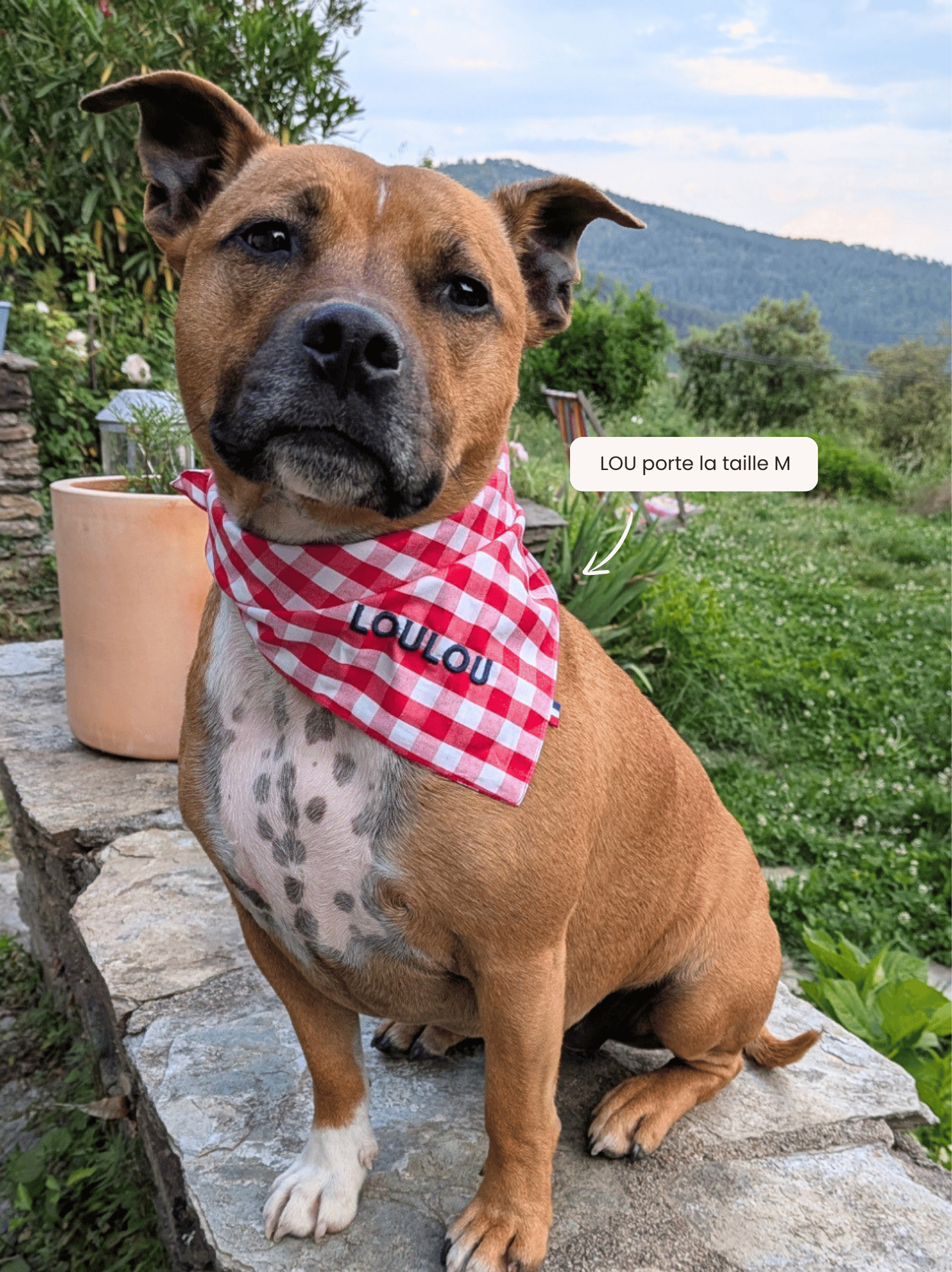 Bandana Vichy rouge