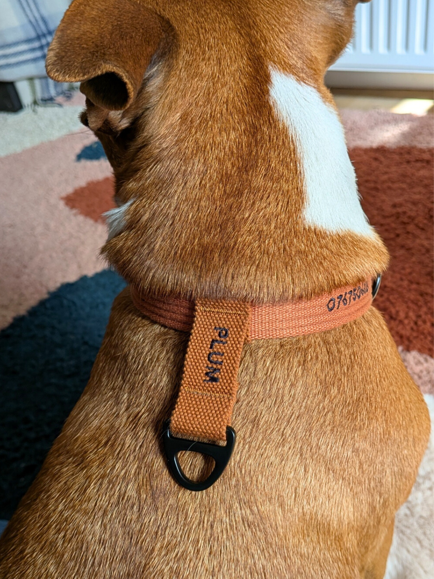 Collier signature Caramel noir