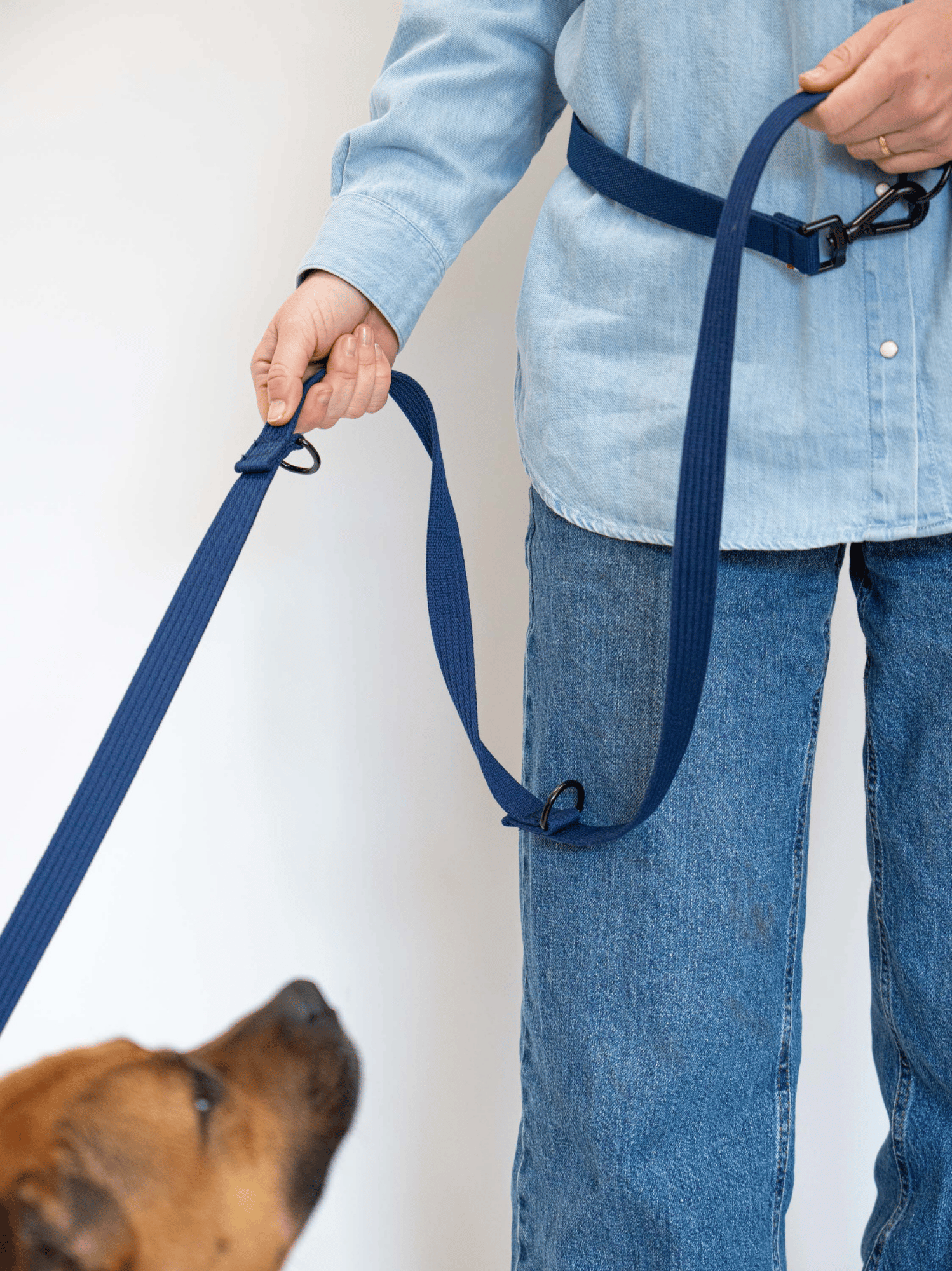 Laisse modulable Bleue